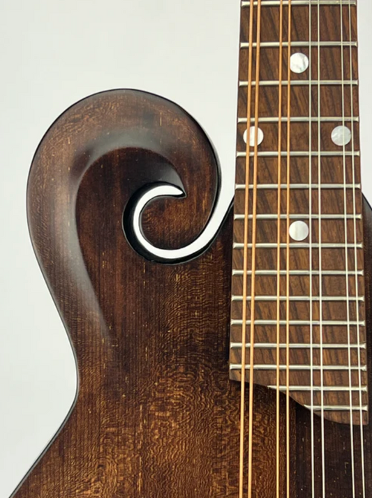 The Mandolin - A Brief History