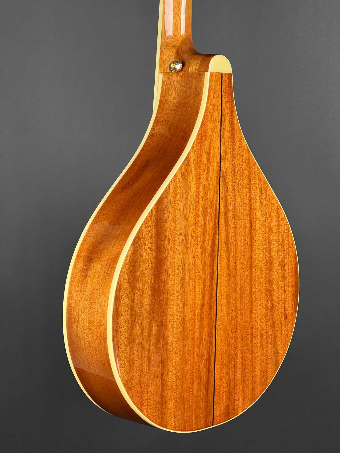 SOLD - Gold Tone OM-800+ Octave Mandolin - Used