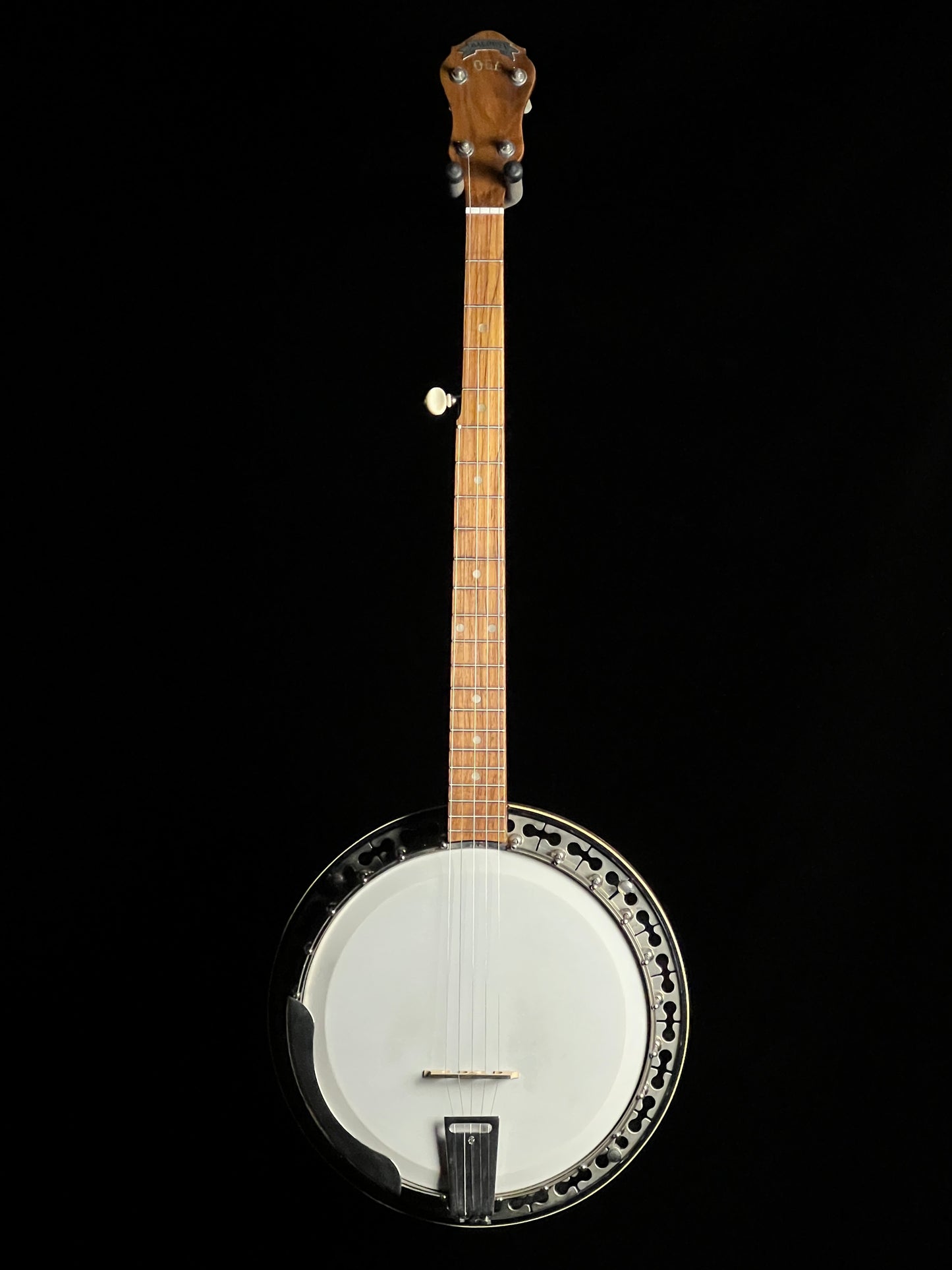 1975 Baldwin ODE 6510 Banjo with Resonator - Consignment