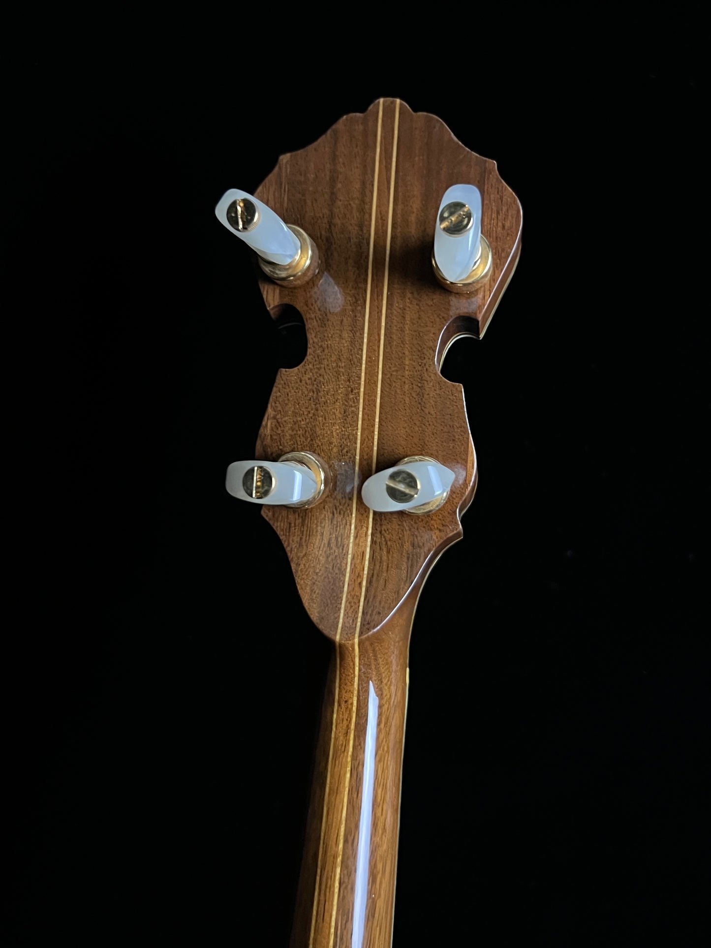 SOLD - 1979 ODE 6500 Style D 5-String Banjo - Consignment
