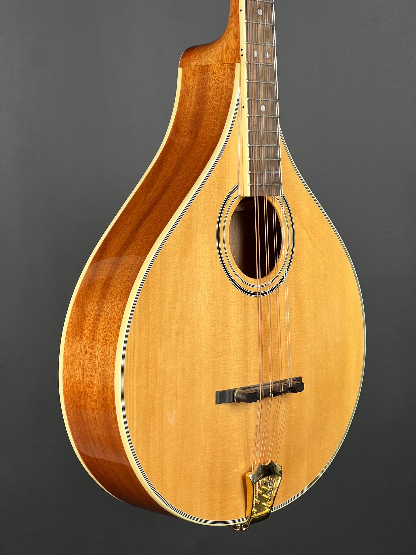 SOLD - Gold Tone OM-800+ Octave Mandolin - Used