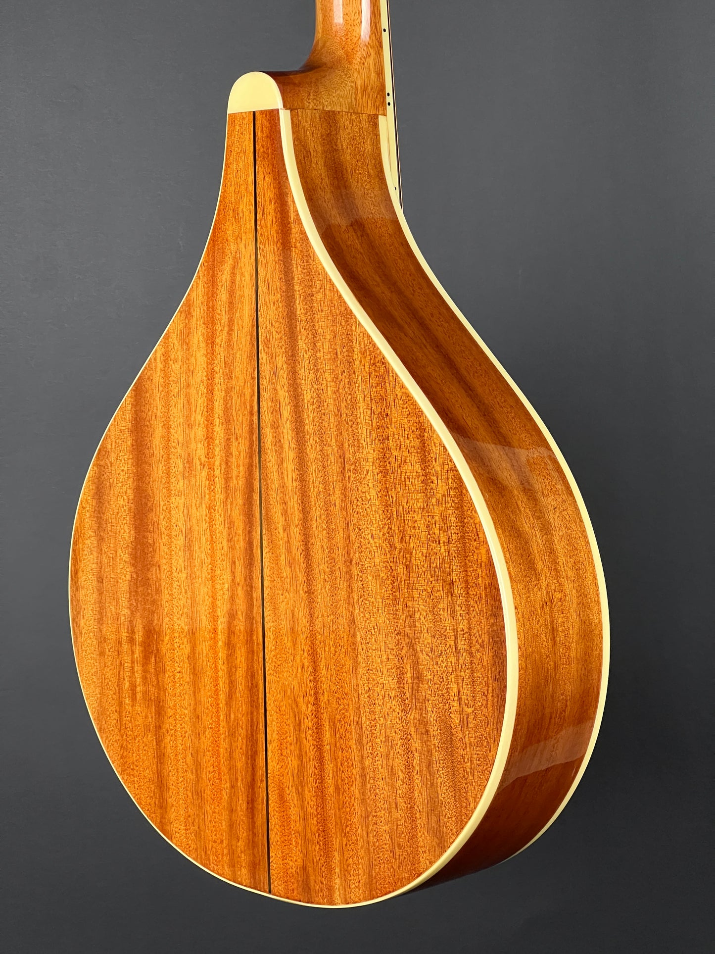 SOLD - Gold Tone OM-800+ Octave Mandolin - Used