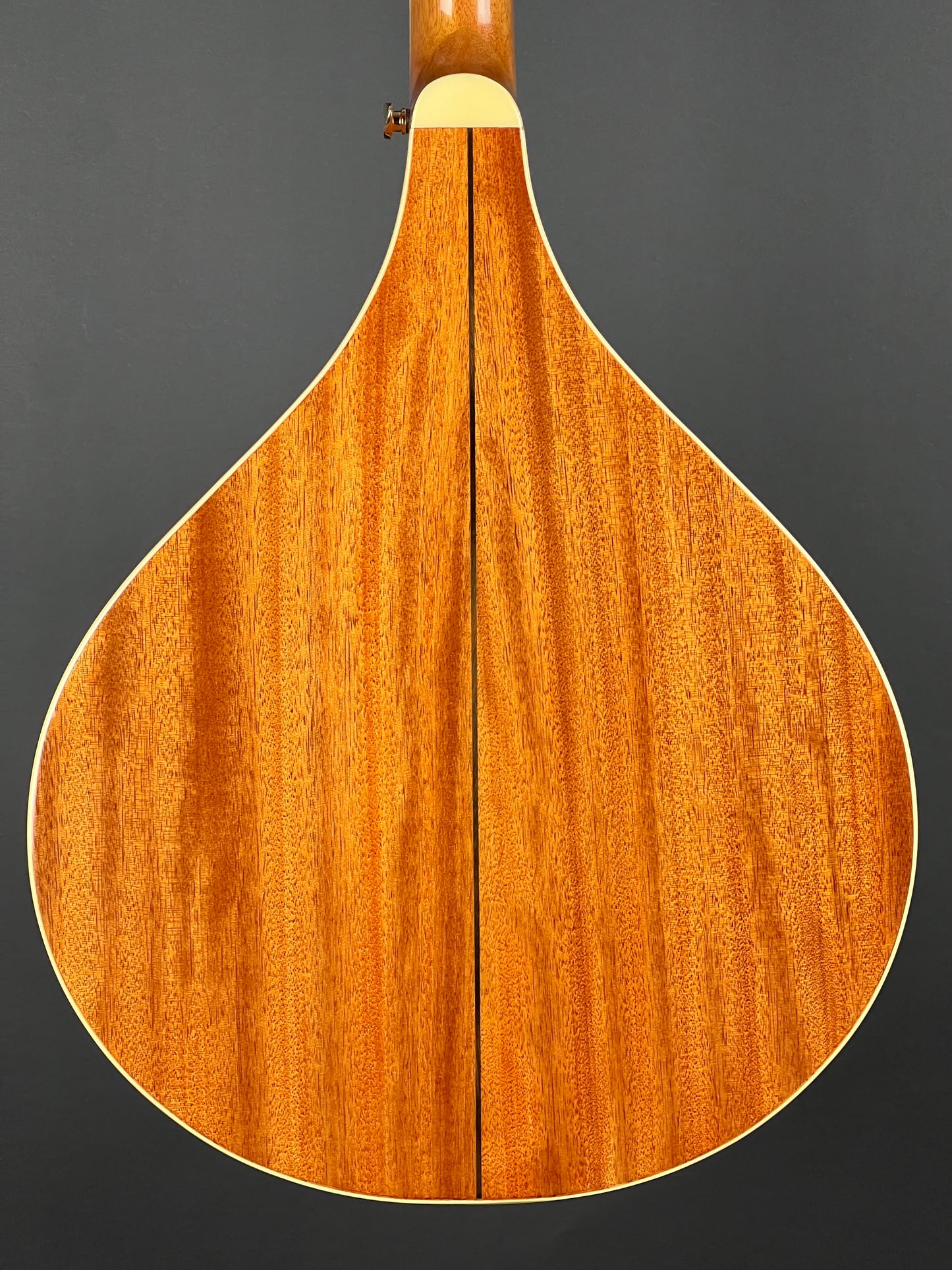 SOLD - Gold Tone OM-800+ Octave Mandolin - Used