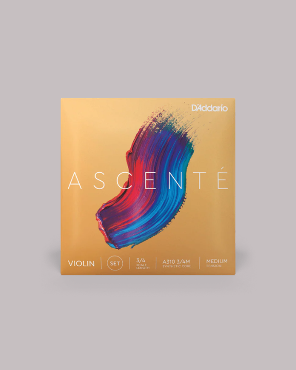 Ascenté Violin String Set, 3/4 Scale, Medium Tension