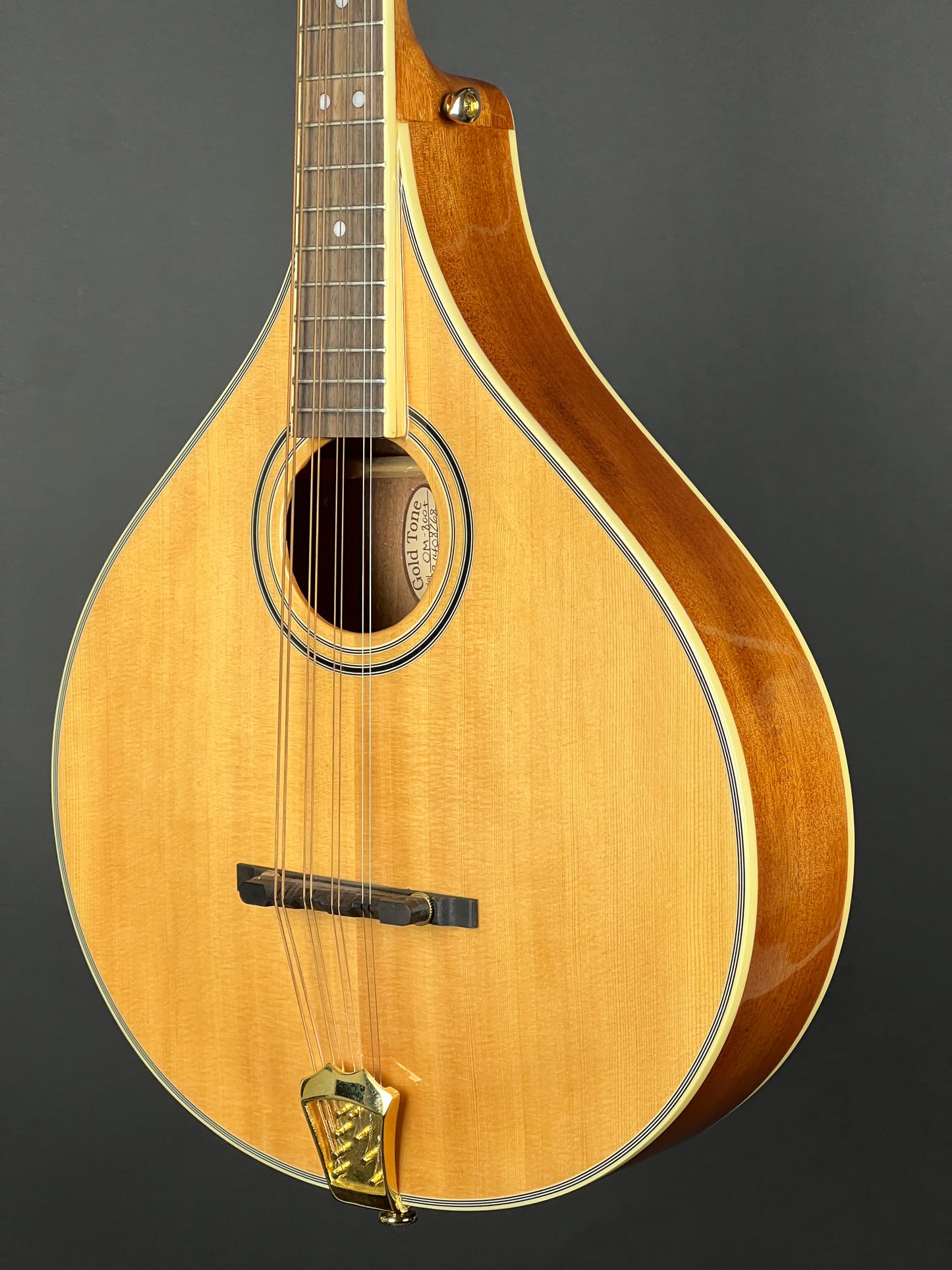 SOLD - Gold Tone OM-800+ Octave Mandolin - Used