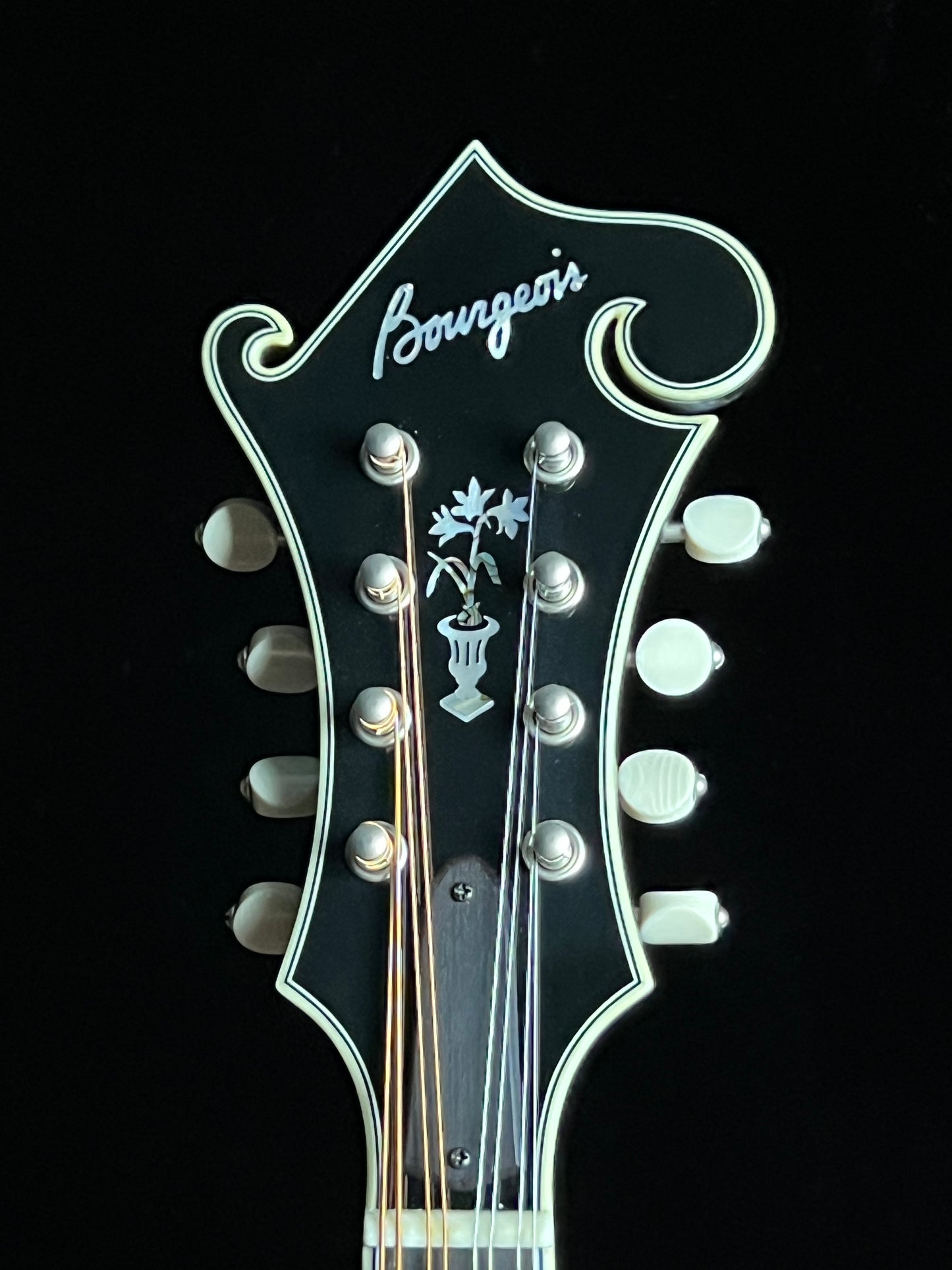 Bourgeois M5F Black-Top Adirondack / European Maple F-Style Mandolin - New
