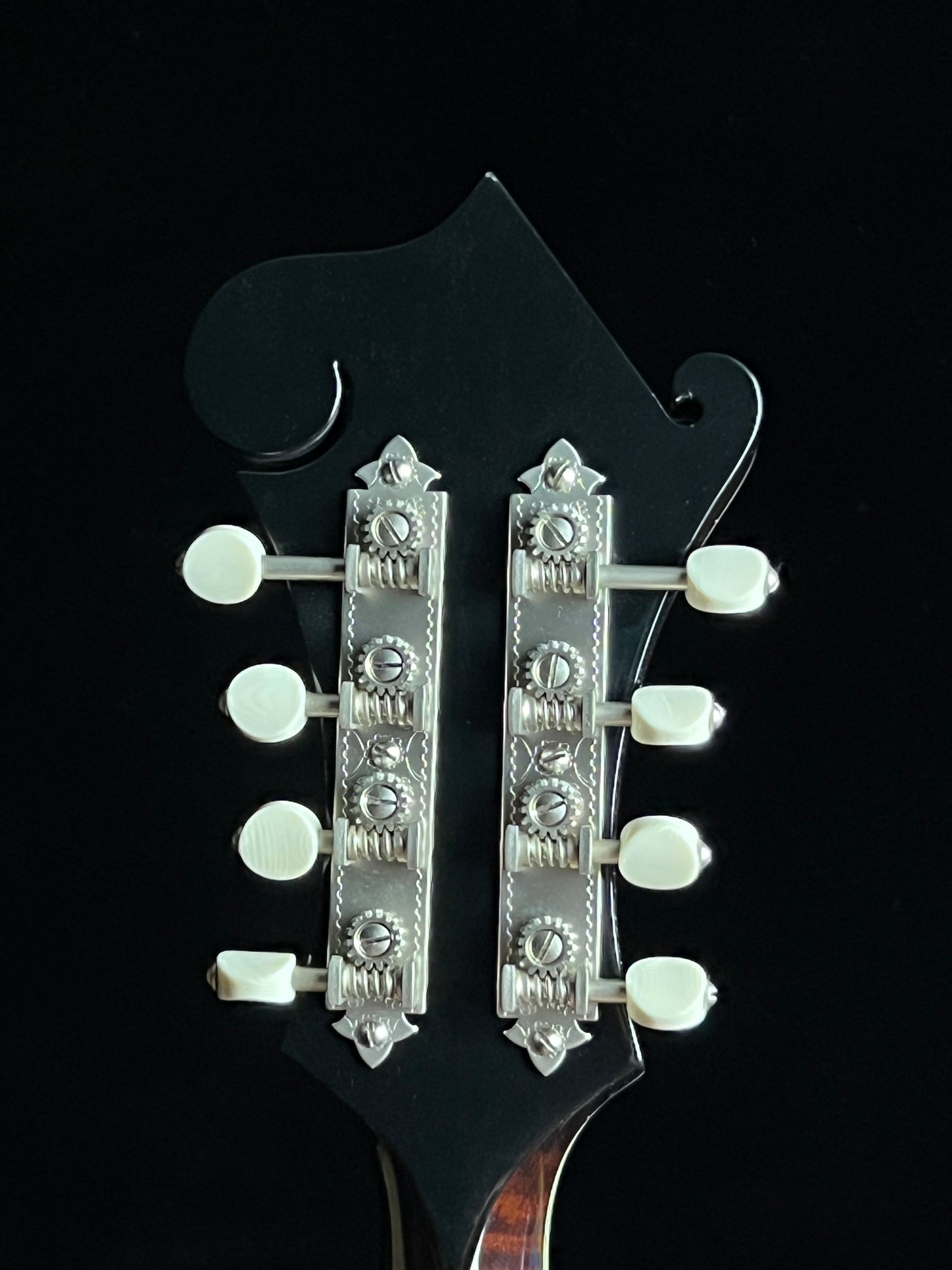 Bourgeois M5F Black-Top Adirondack / European Maple F-Style Mandolin - New