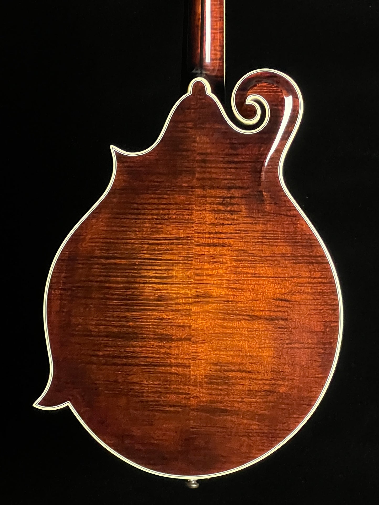 Bourgeois M5F Black-Top Adirondack / European Maple F-Style Mandolin - New