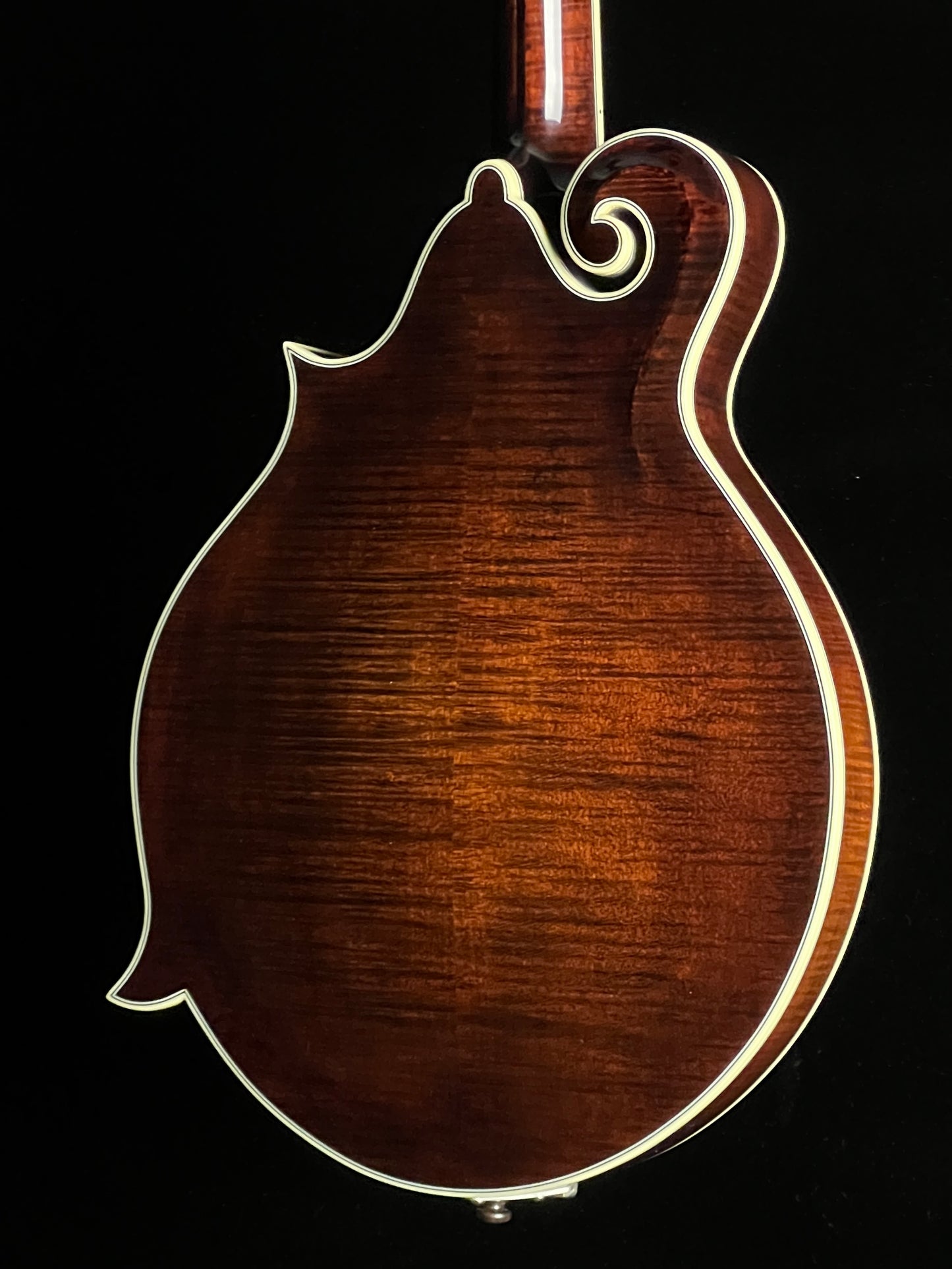 Bourgeois M5F Black-Top Adirondack / European Maple F-Style Mandolin - New