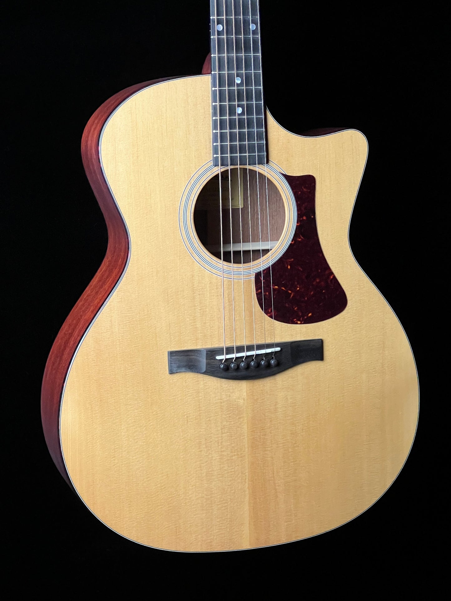 Eastman AC122-1CE Grand Auditorium Sitka/ Sapele with Fishman pickup - New