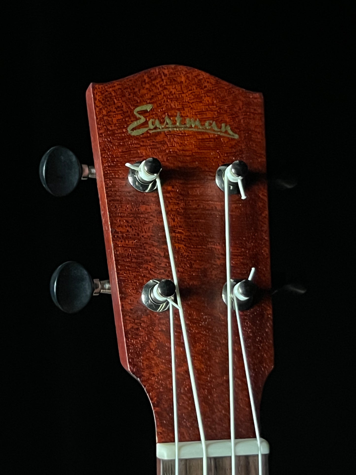 Eastman EU1-T Tenor Ukulele All Mahogany - New