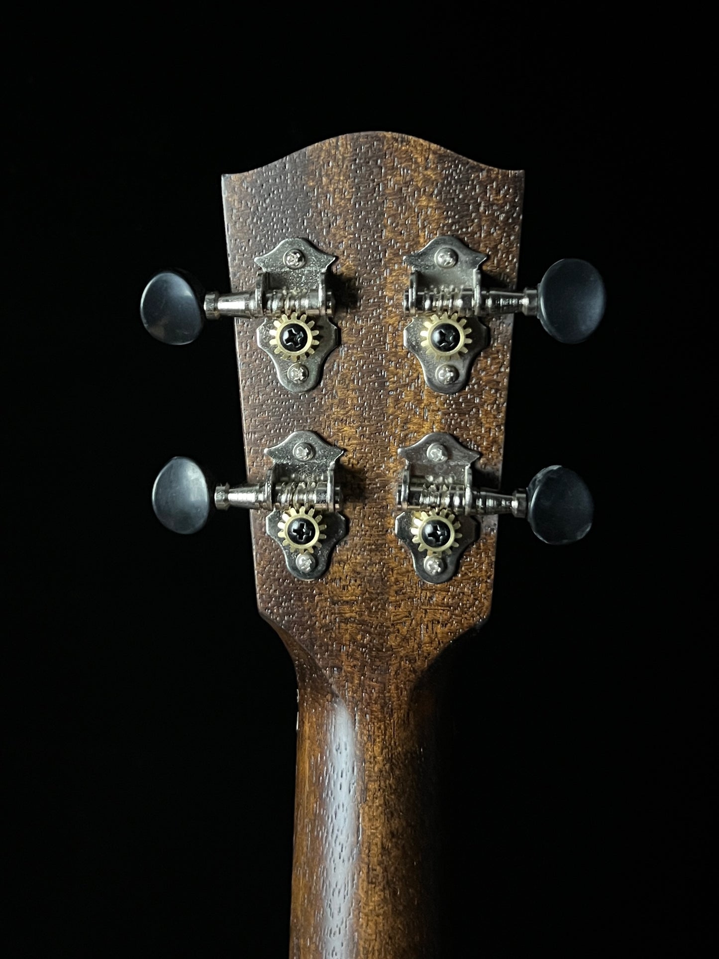 Eastman Tenor Ukulele EU2-T Sitka Spruce/ Ovangkol - New