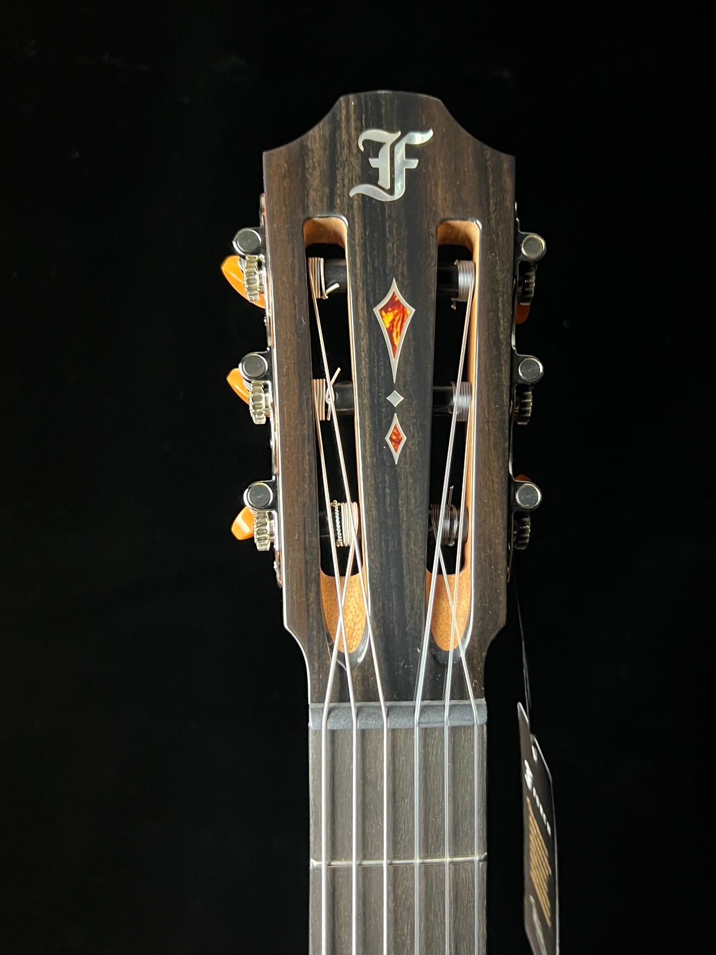 Furch GNc 4-CR a Grand Nylon Cutaway Western Red Cedar/ Indian Rosewood Acoustic Guitar with LR Baggs - New