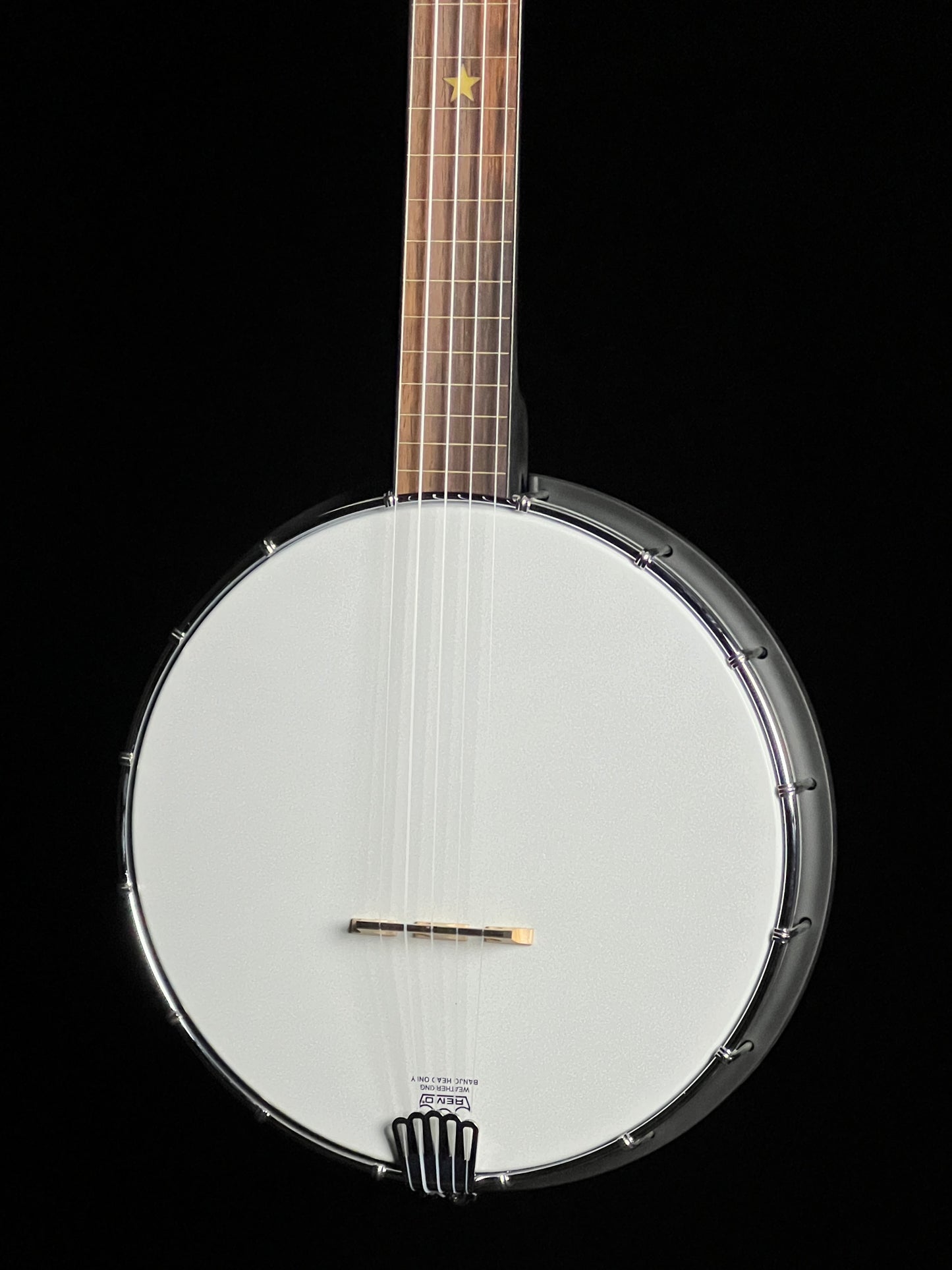 Gold Tone AC-1FL Fretless Acoustic Composite 5-String Openback Banjo - New