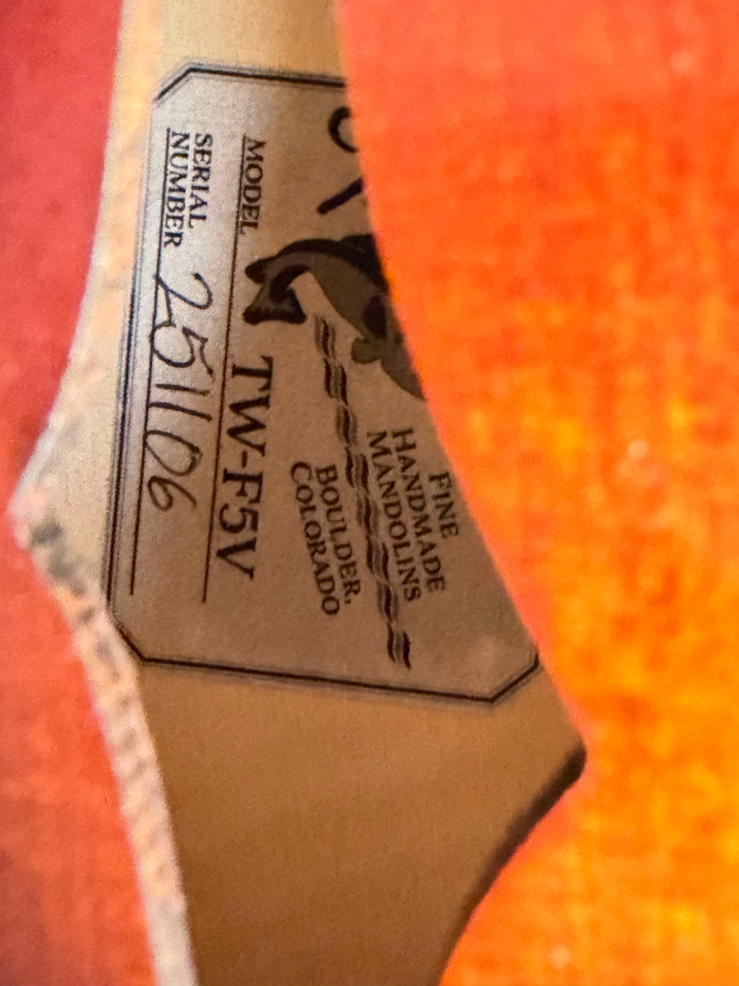 Tailwater TW-F5V F-Style Mandolin - New