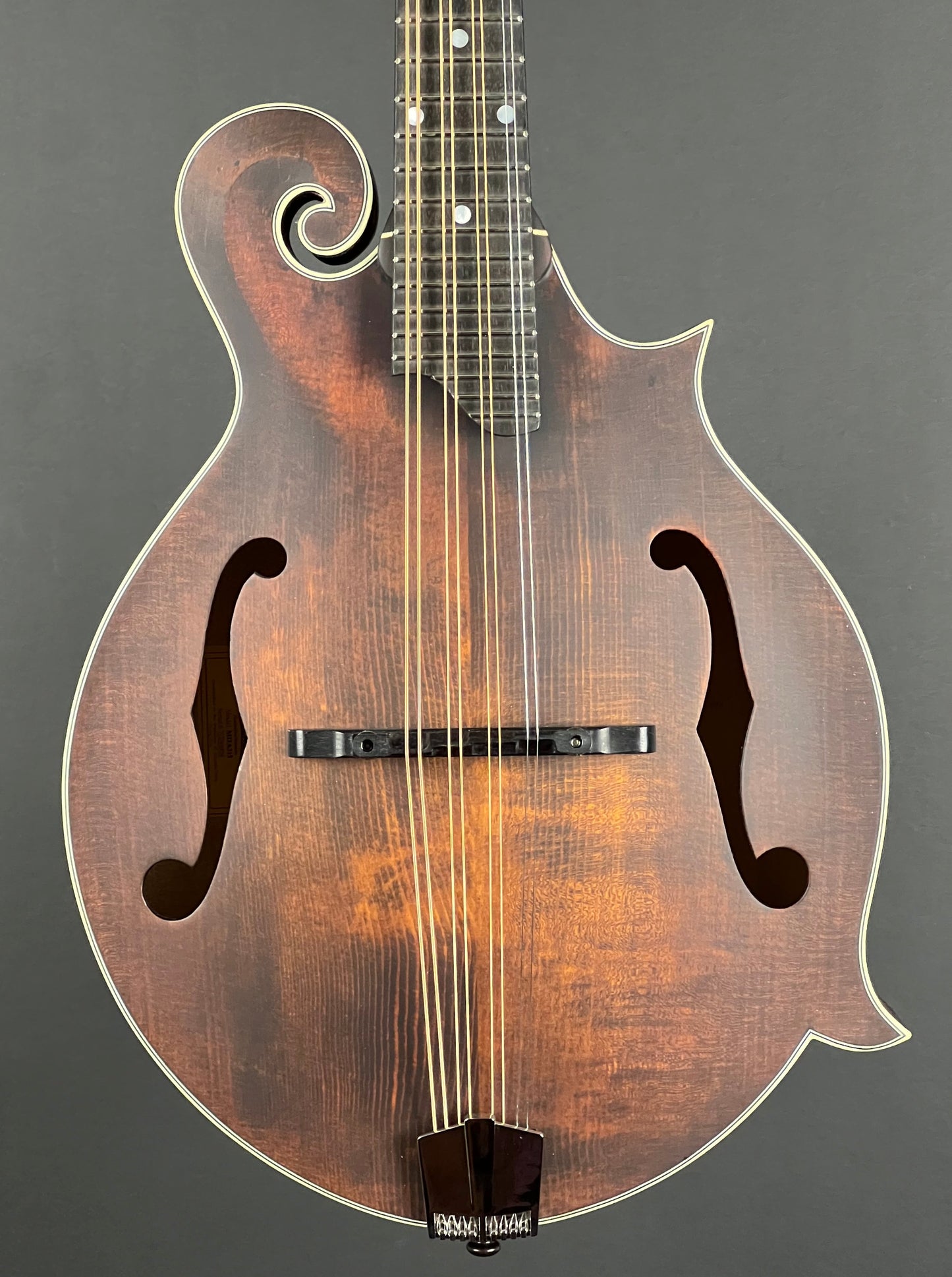 Eastman MDA315 Mandola - New