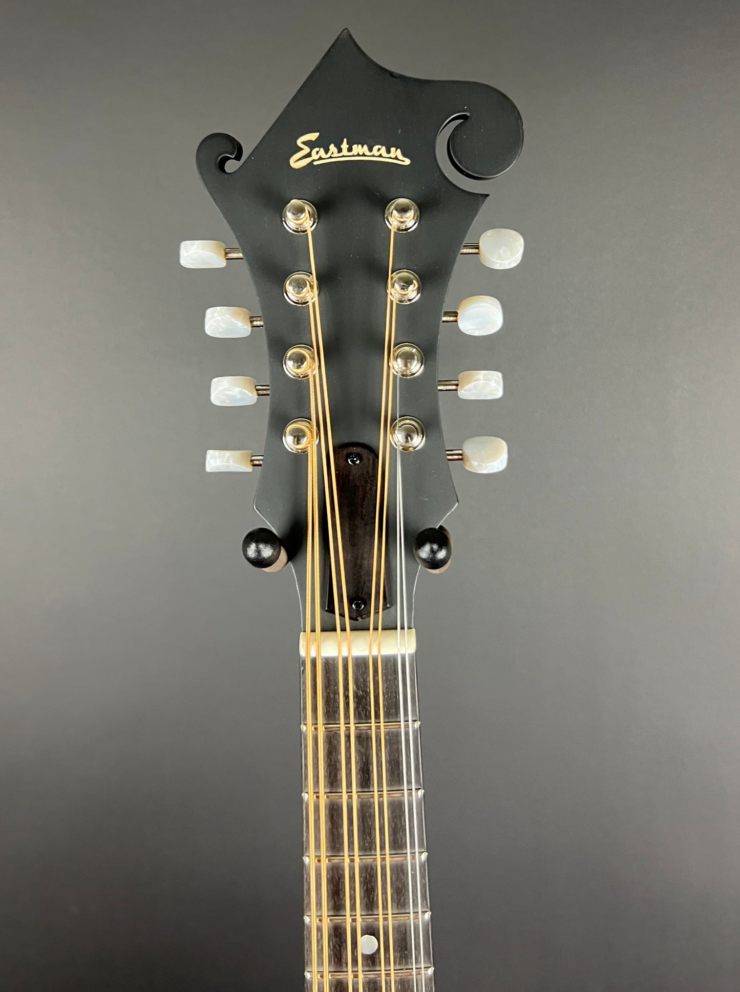 Eastman MDA315 Mandola - New