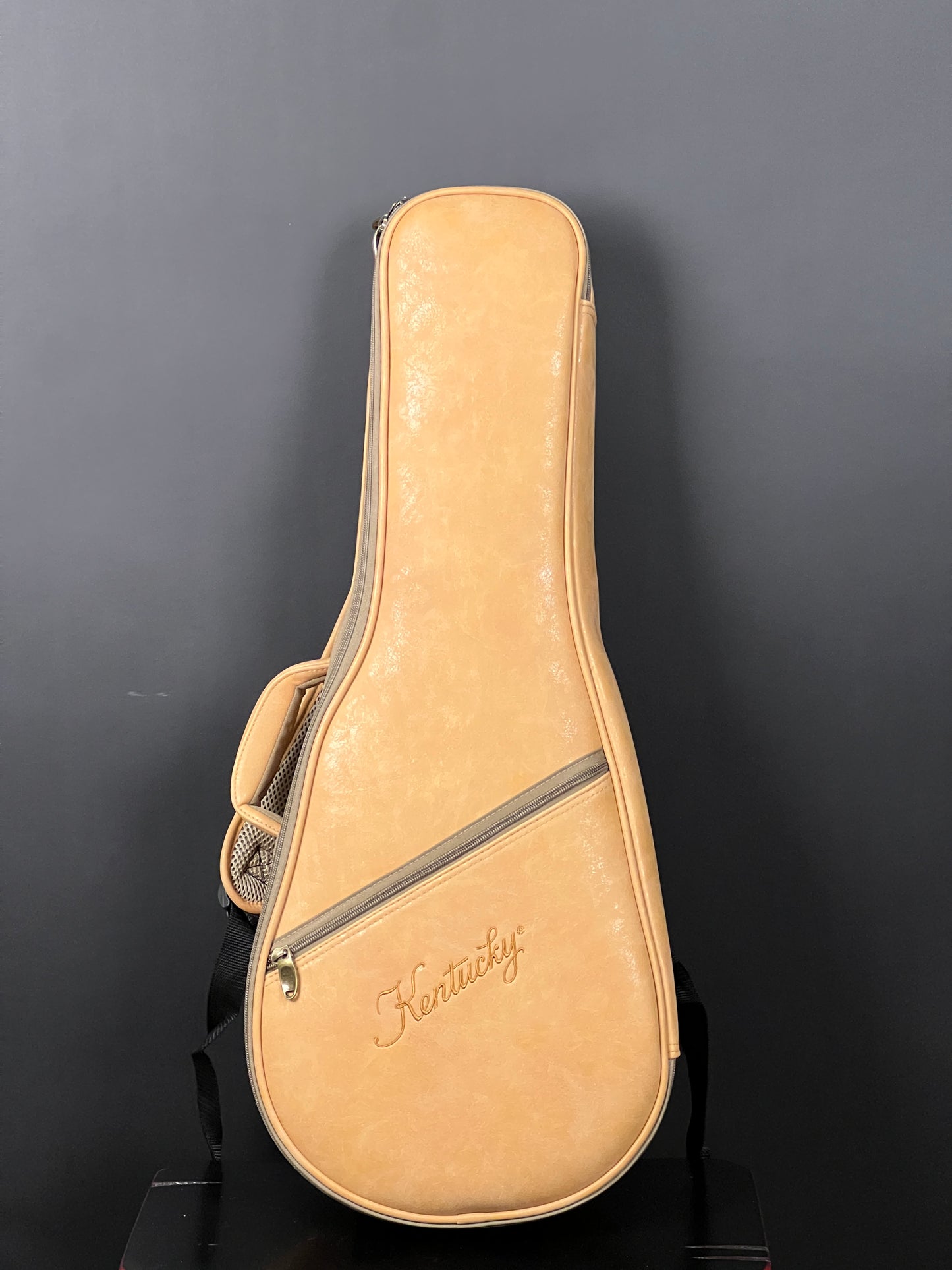 SOLD - Kentucky KM-850 F-Style Mandolin