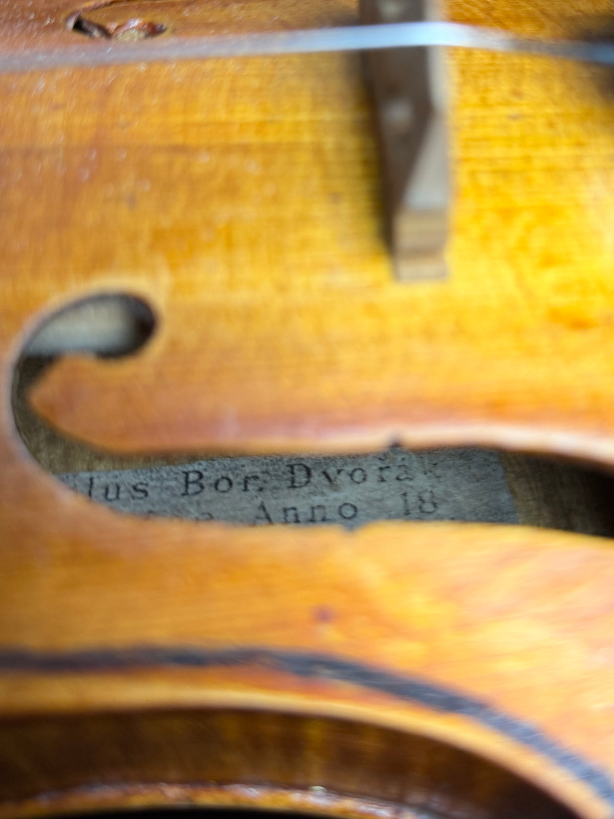 Carolus Bor Dovrak Violin - Used