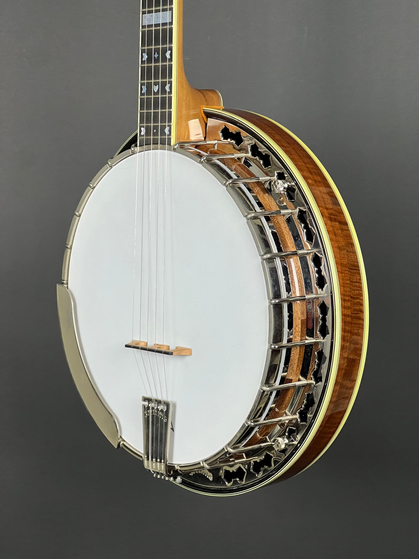 SOLD - 2005 Stelling Master Flower 5 String Banjo - Used