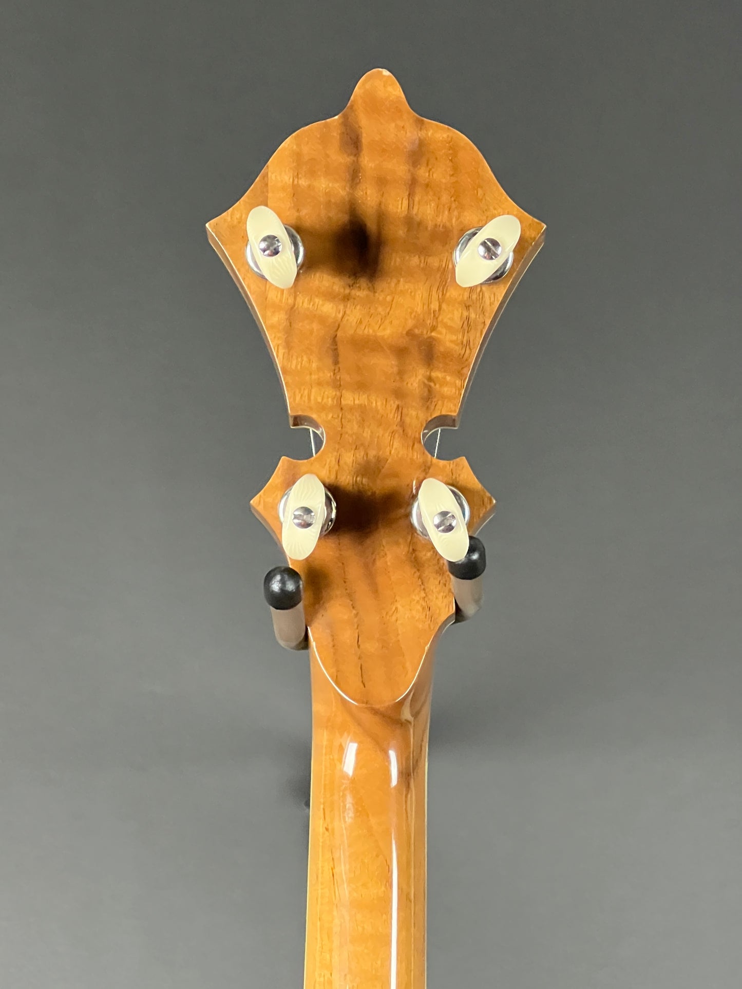 SOLD - 2005 Stelling Master Flower 5 String Banjo - Used