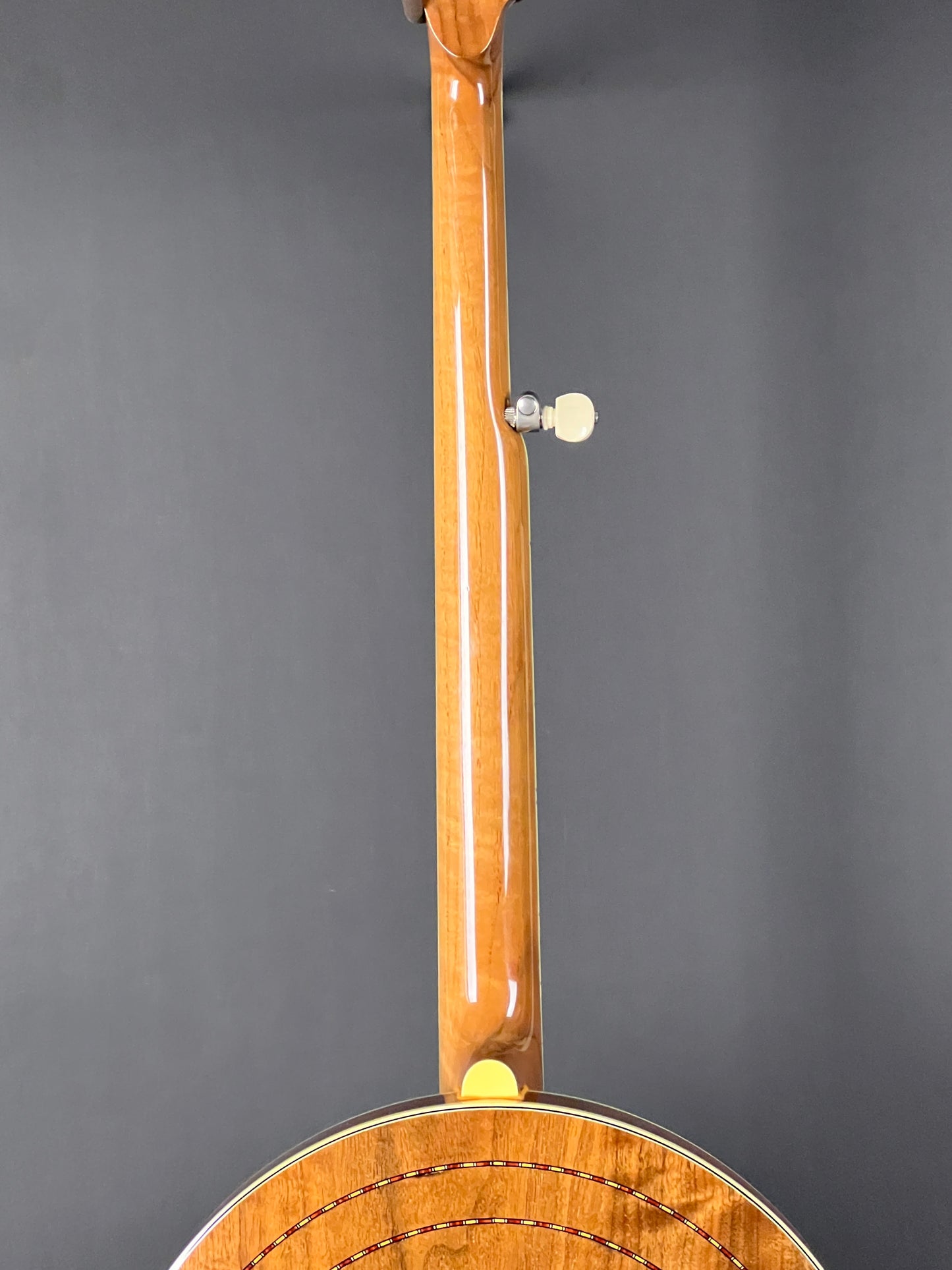 SOLD - 2005 Stelling Master Flower 5 String Banjo - Used