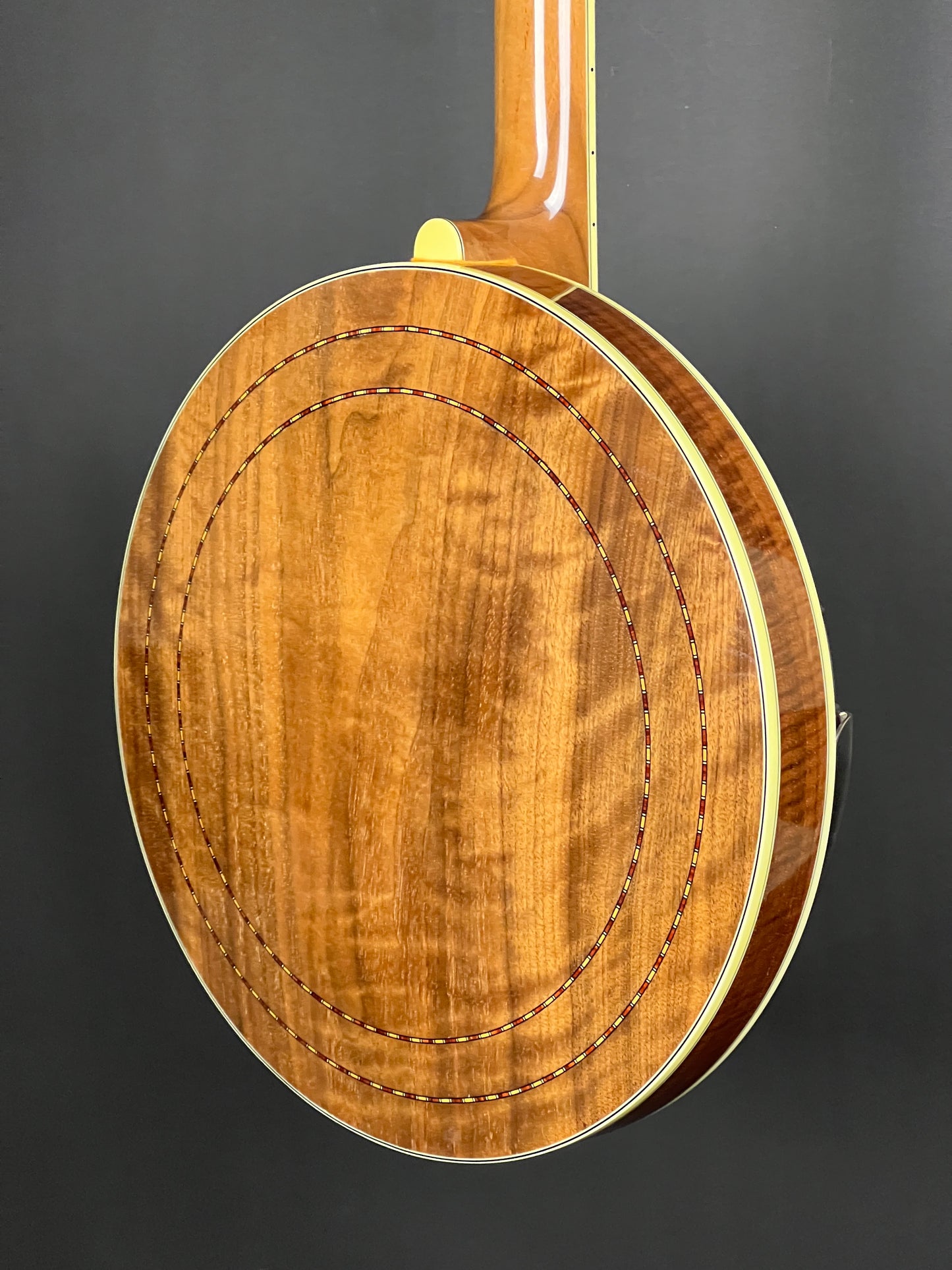 SOLD - 2005 Stelling Master Flower 5 String Banjo - Used