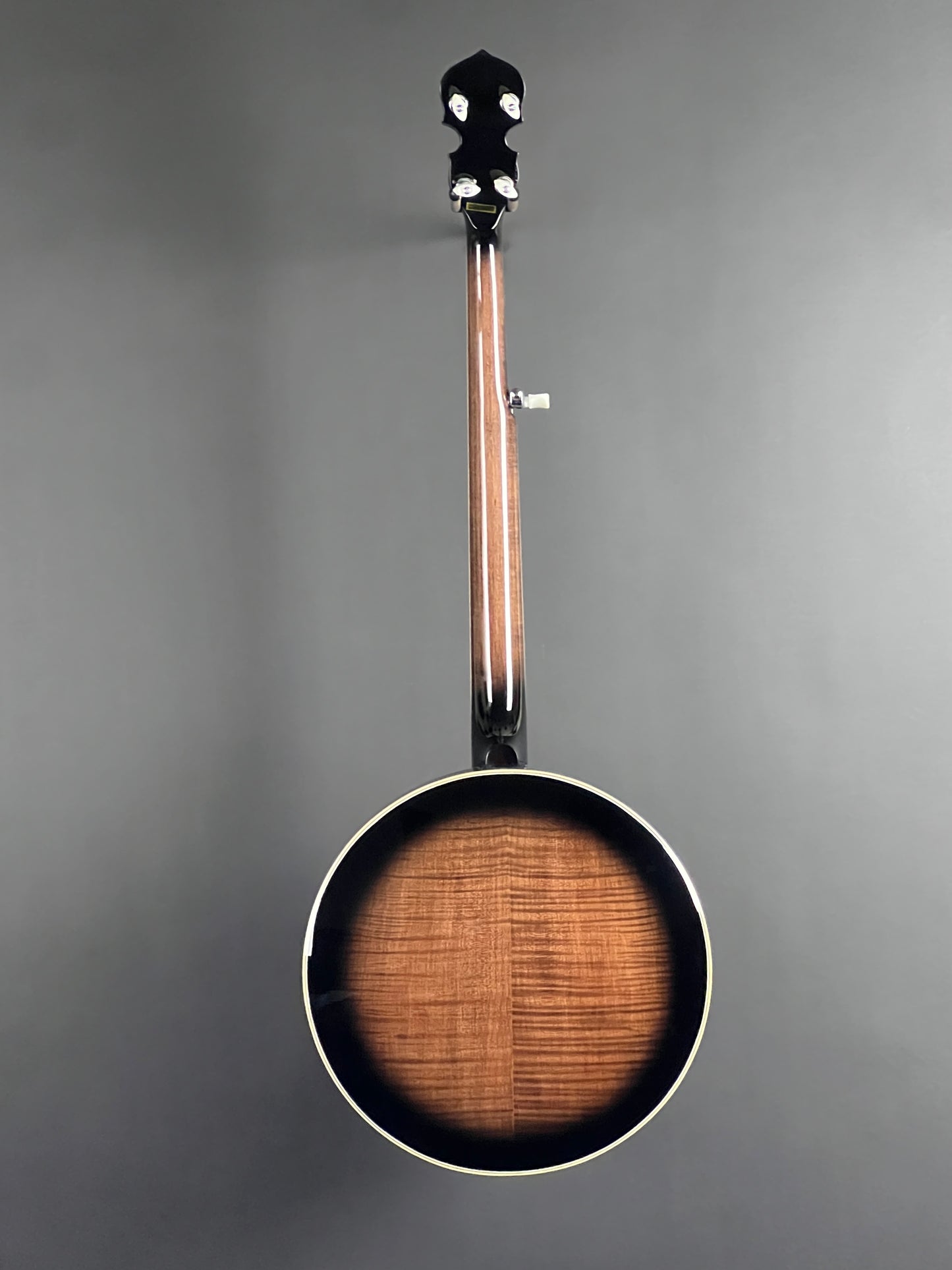 Mastertone Gold Tone Orange Blossom Banjo Arch Top with Case OB-250AT