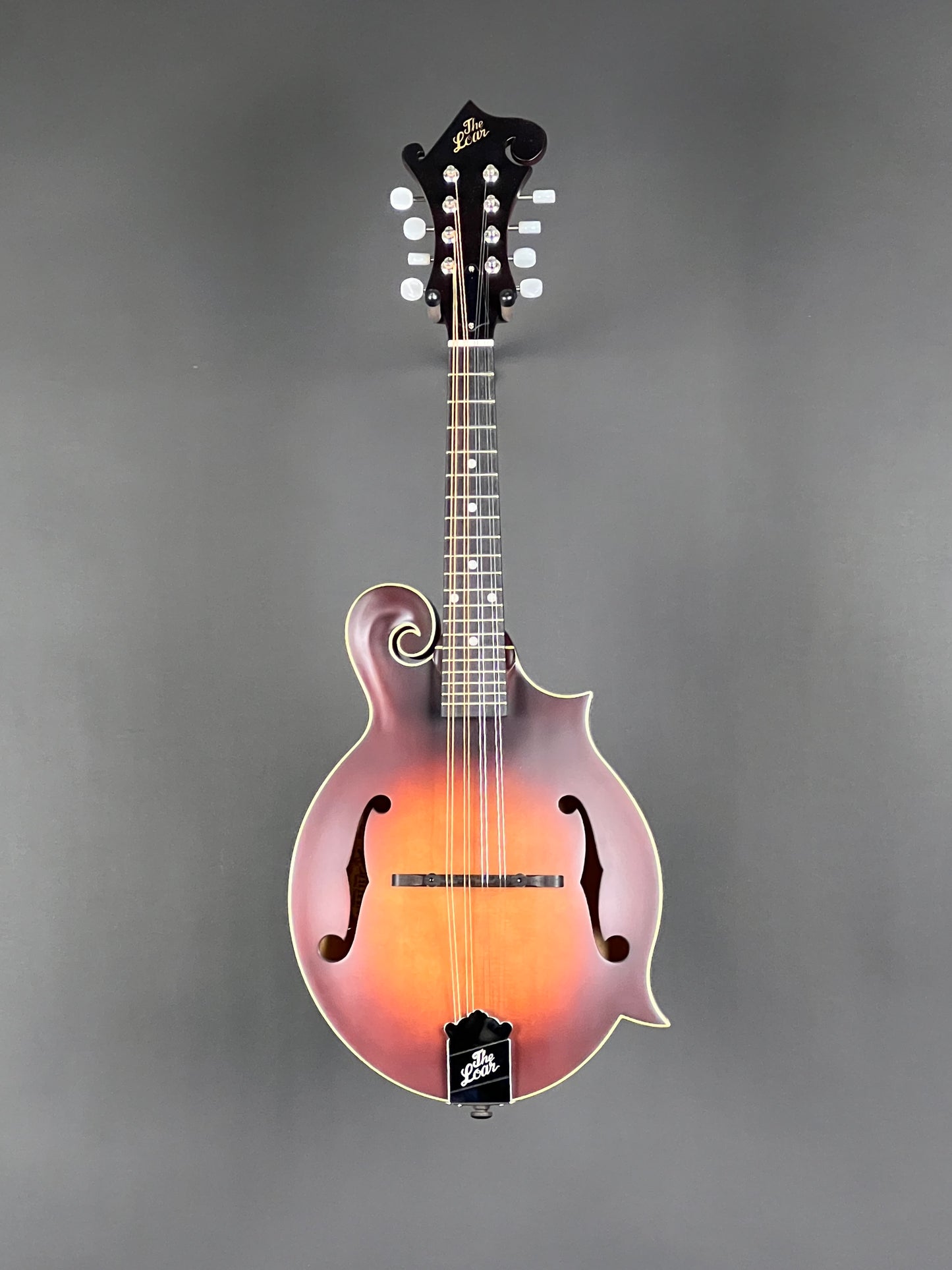 The Loar Honey Creek F-Style Mandolin LM-310F-BRB - New