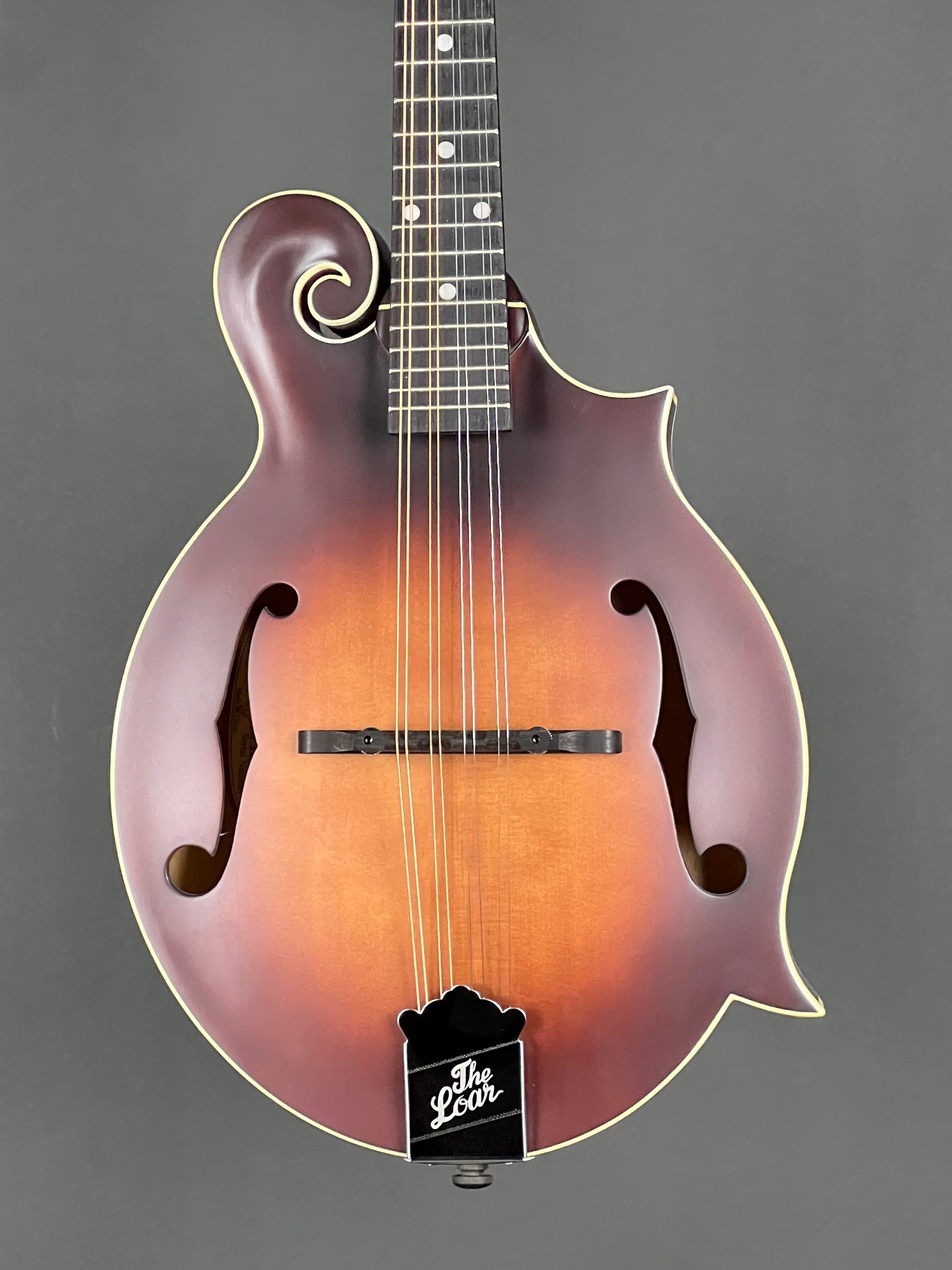 The Loar Honey Creek F-Style Mandolin LM-310F-BRB - New