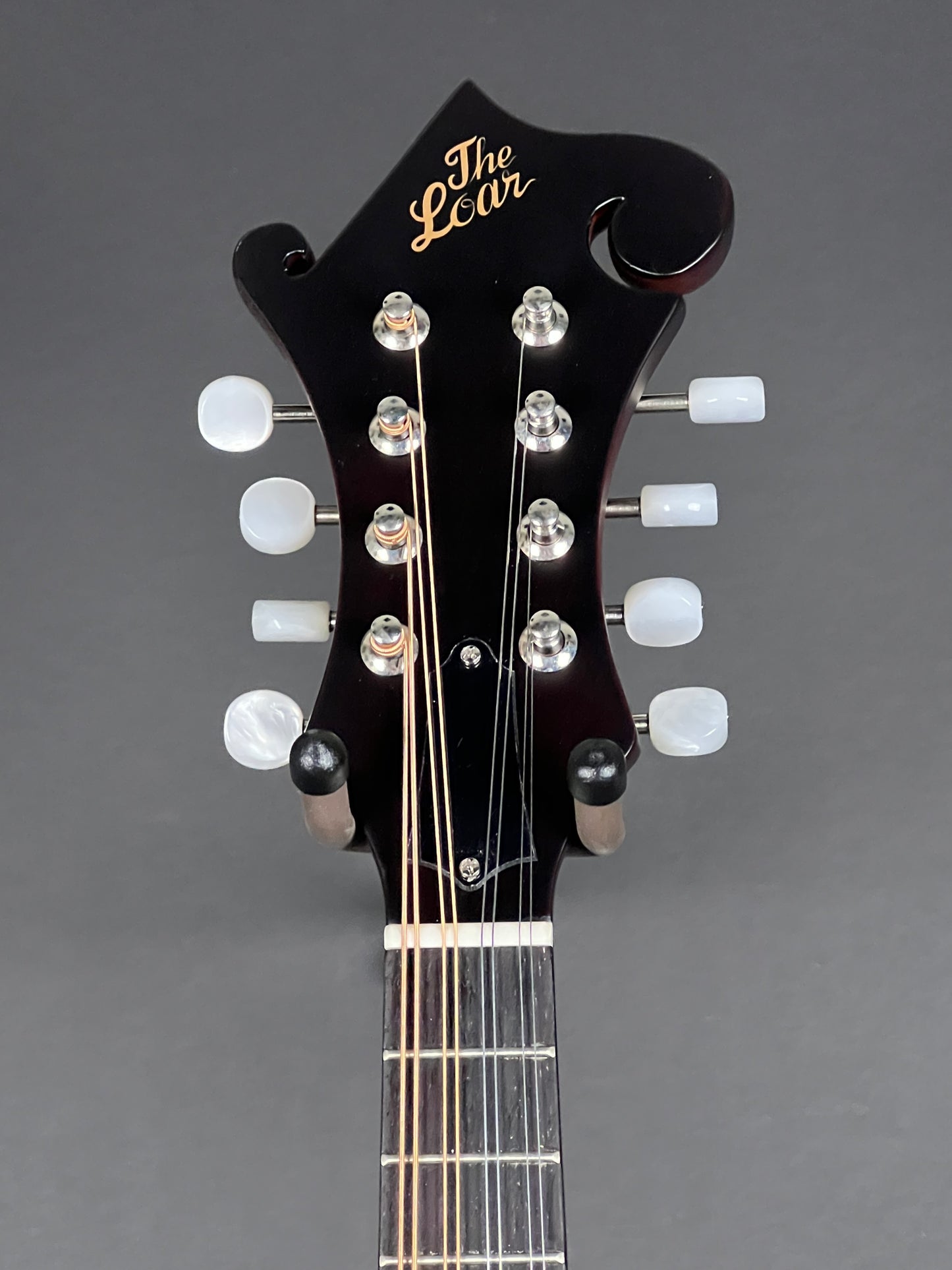 The Loar Honey Creek F-Style Mandolin LM-310F-BRB - New