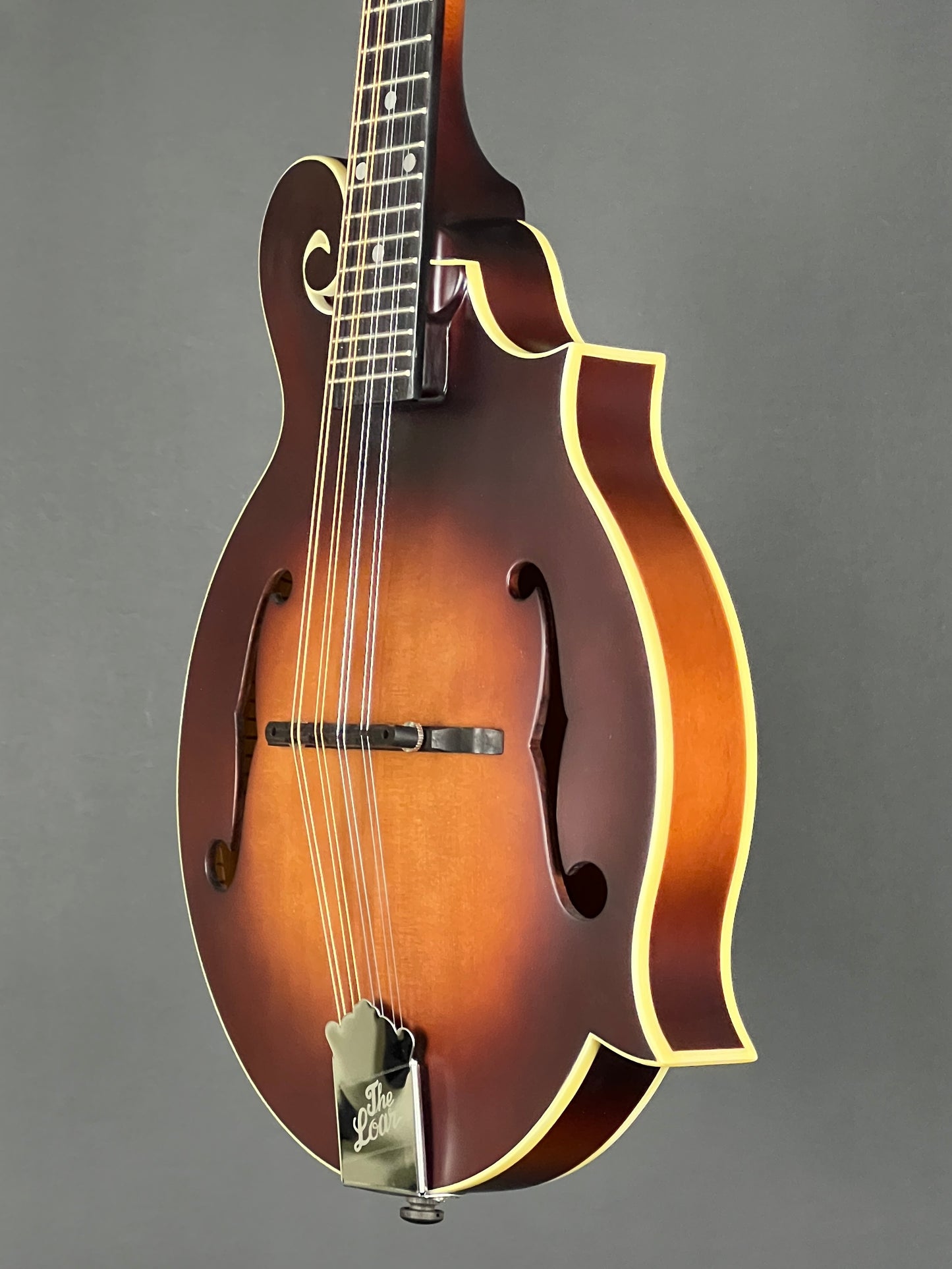 The Loar Honey Creek F-Style Mandolin LM-310F-BRB - New