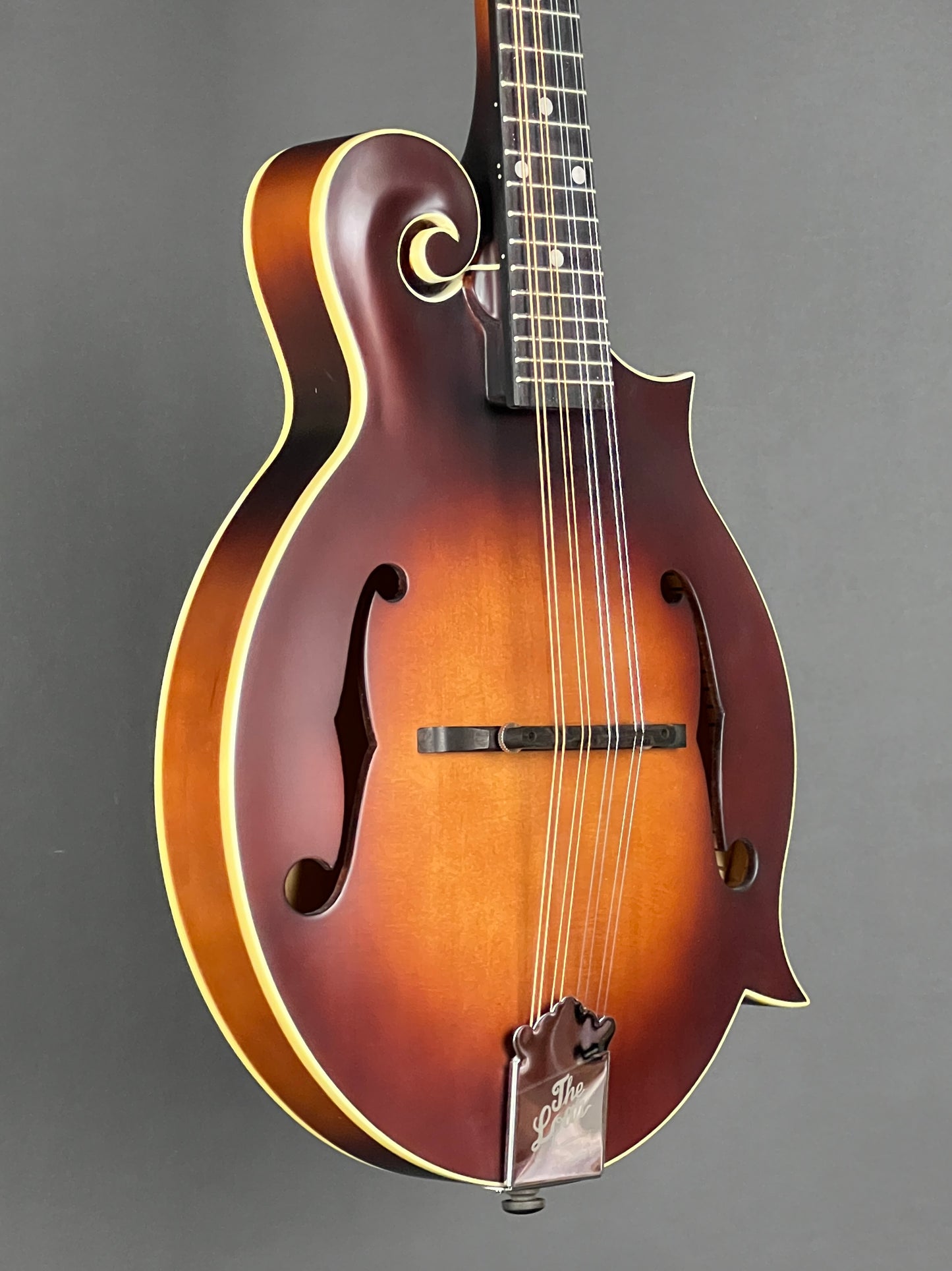 The Loar Honey Creek F-Style Mandolin LM-310F-BRB - New