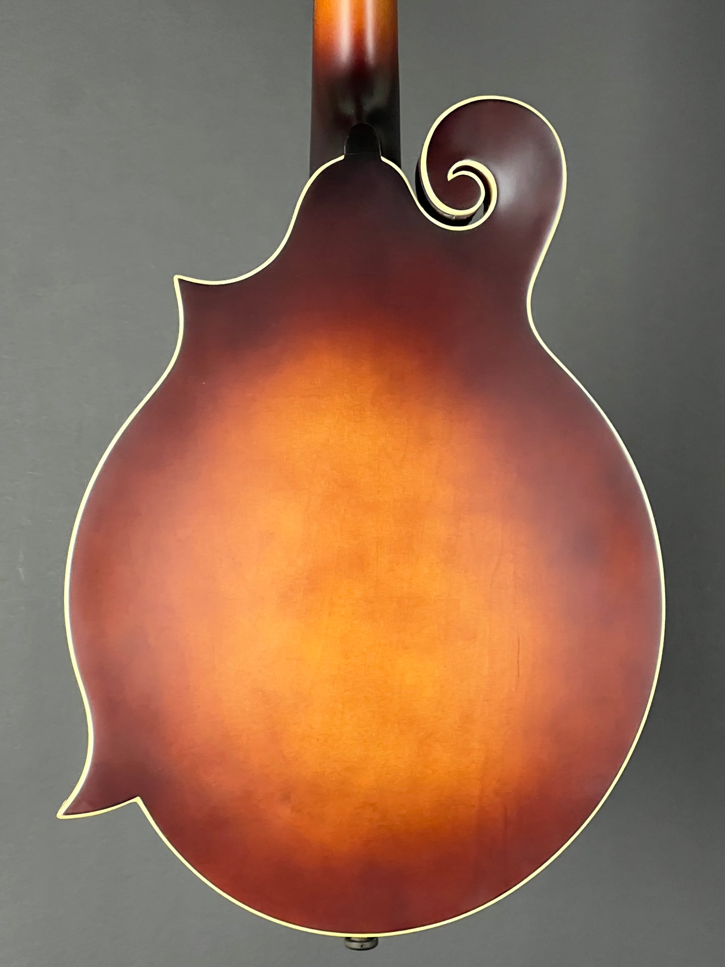 The Loar Honey Creek F-Style Mandolin LM-310F-BRB - New