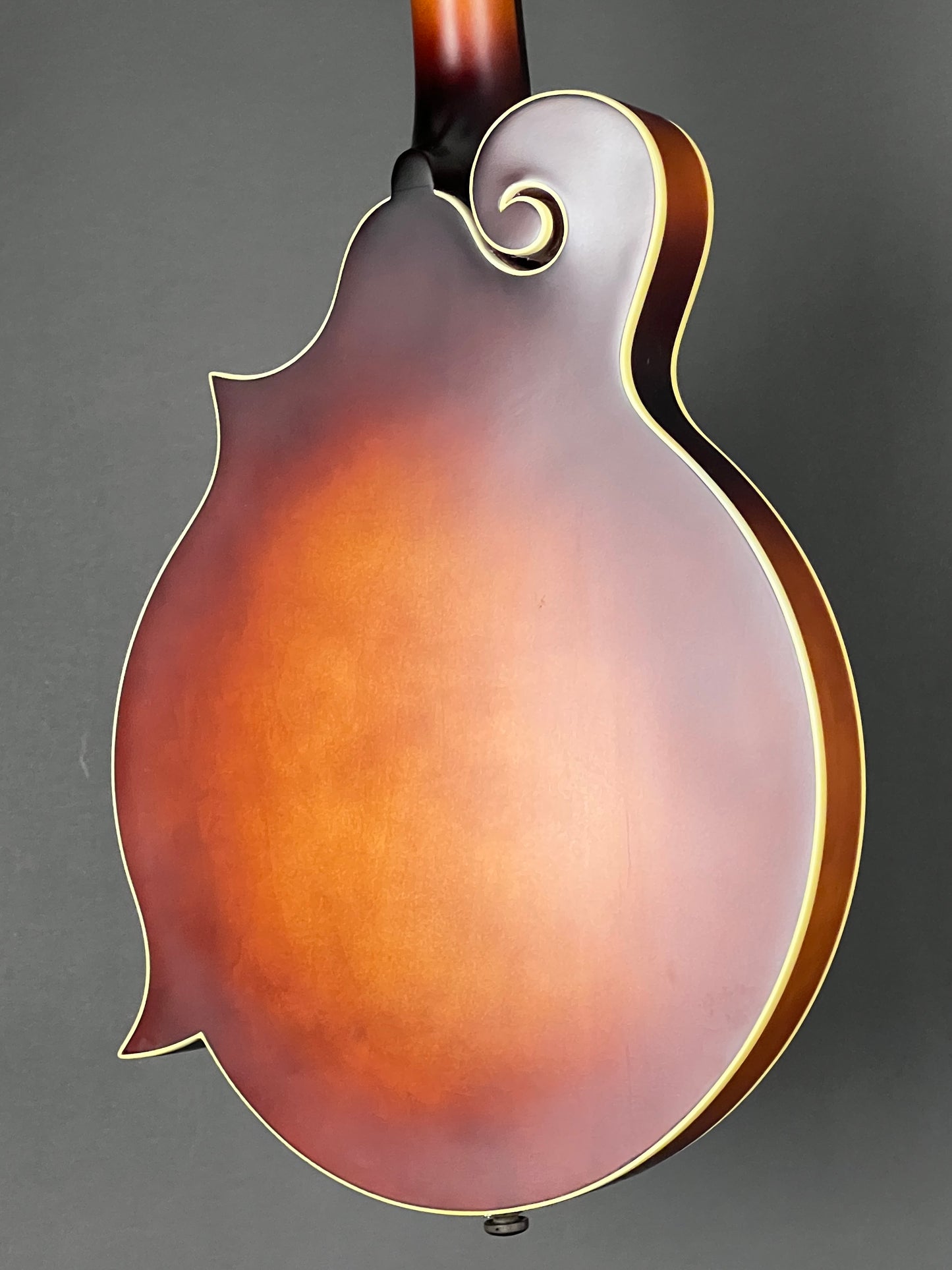 The Loar Honey Creek F-Style Mandolin LM-310F-BRB - New