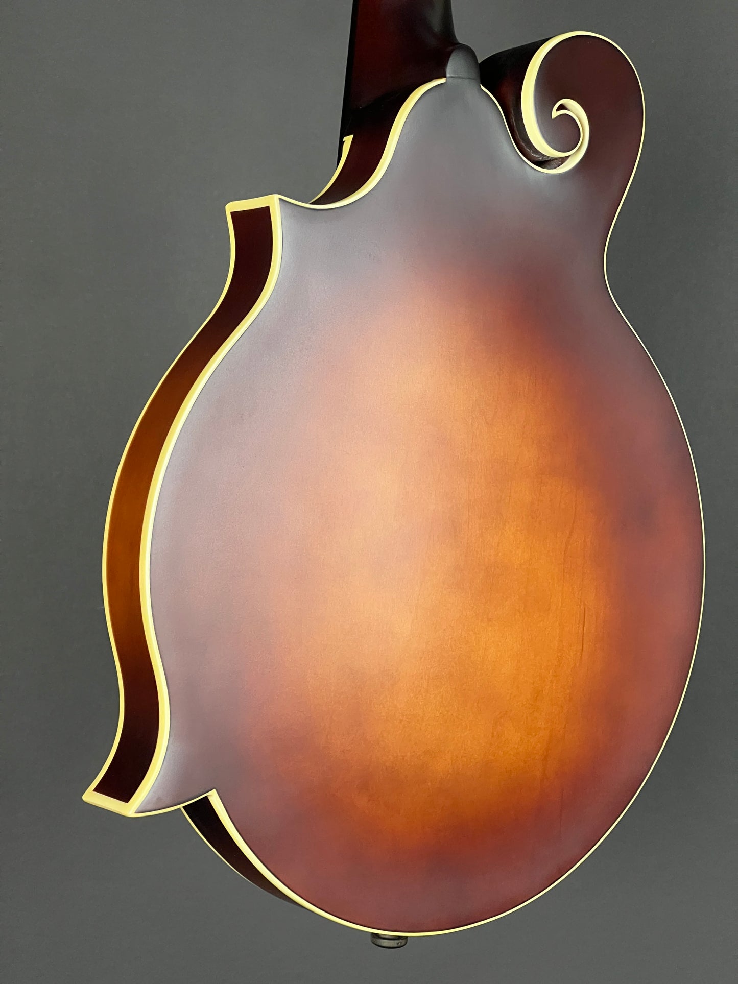 SOLD - The Loar Honey Creek F-Style Mandolin LM-310F-BRB - New