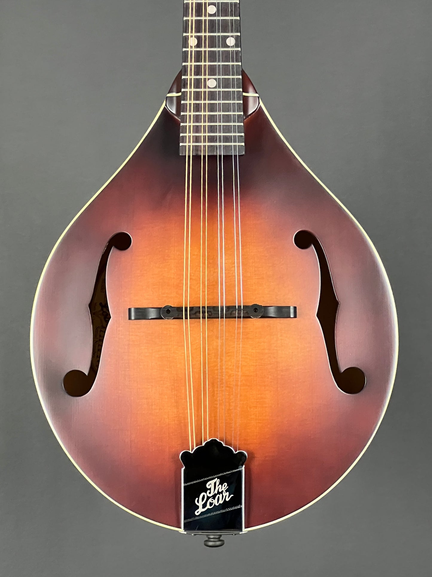 The Loar Honey Creek A-Style Mandolin LM-110-BRB - New