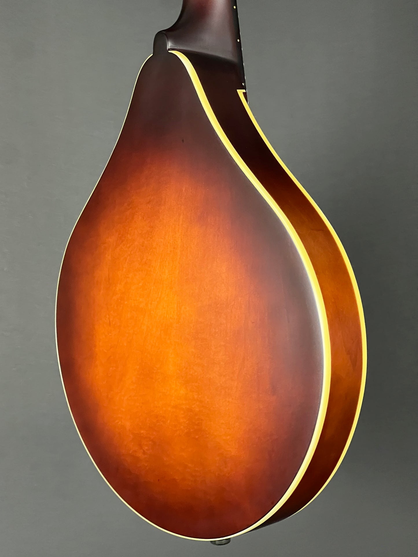 The Loar Honey Creek A-Style Mandolin LM-110-BRB - New