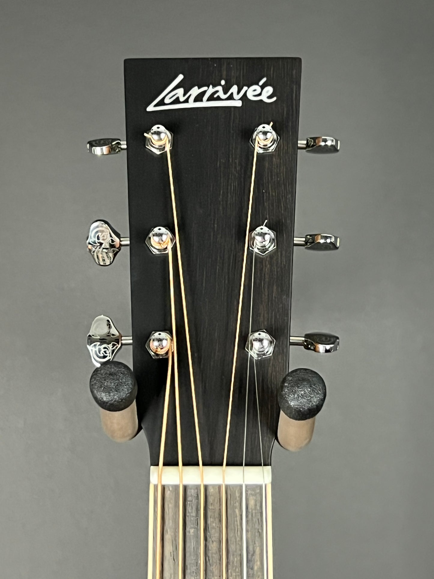 Larrivée Blue Grass Special D-40R Acoustic Guitar