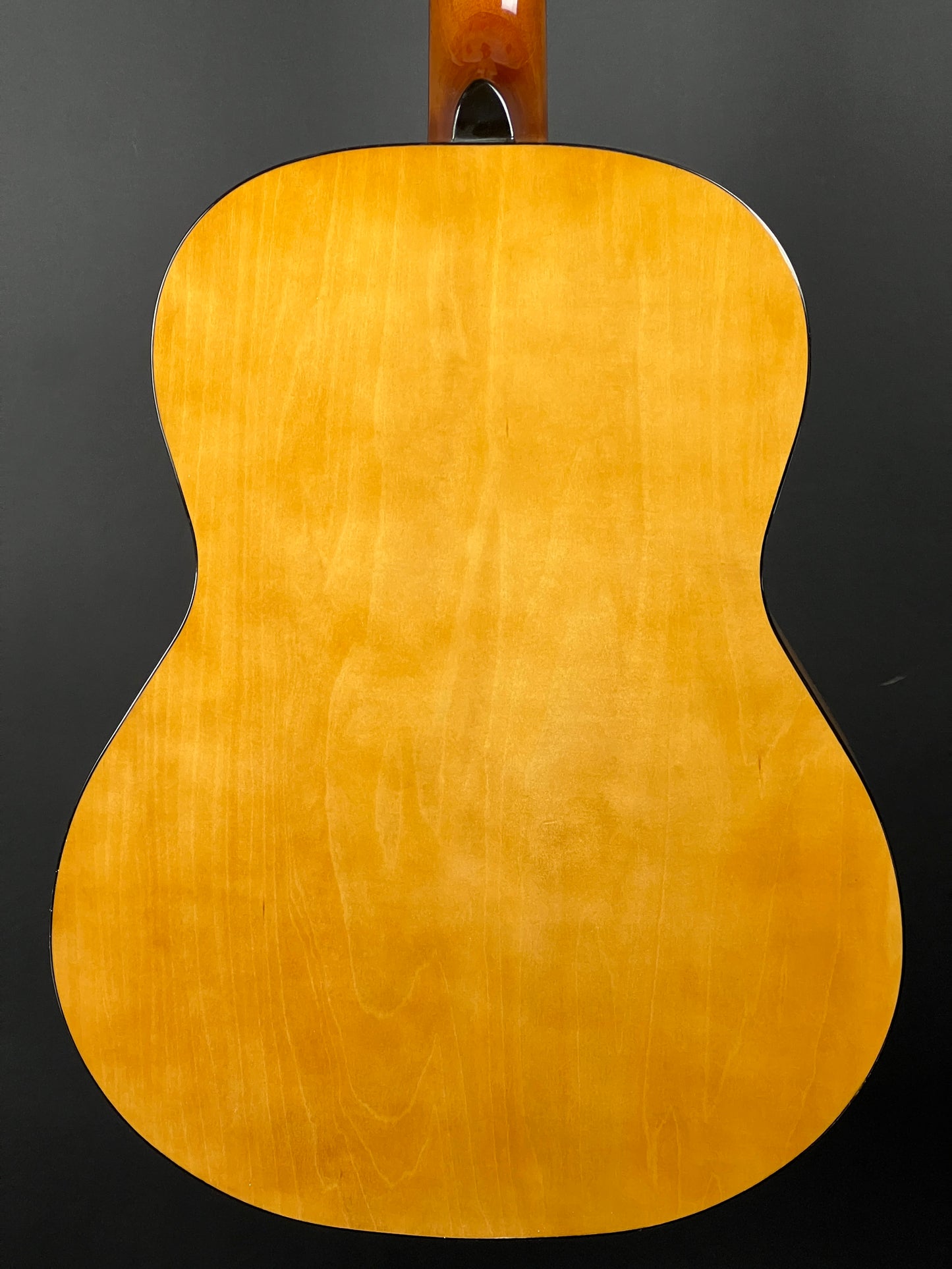 Accent CS-2 Acoustic Folk Guitar