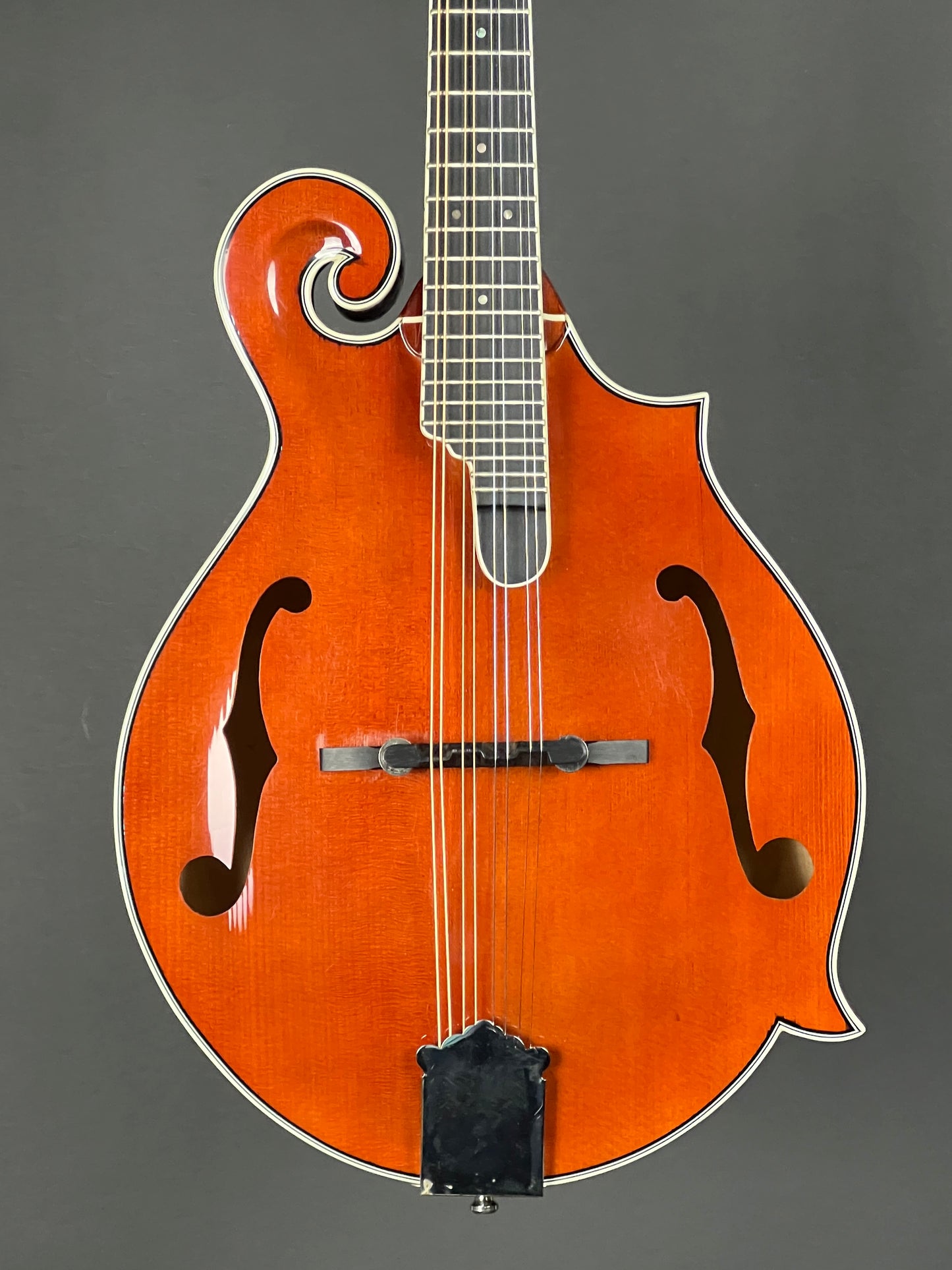 Michael Kelly Mandolin - Used
