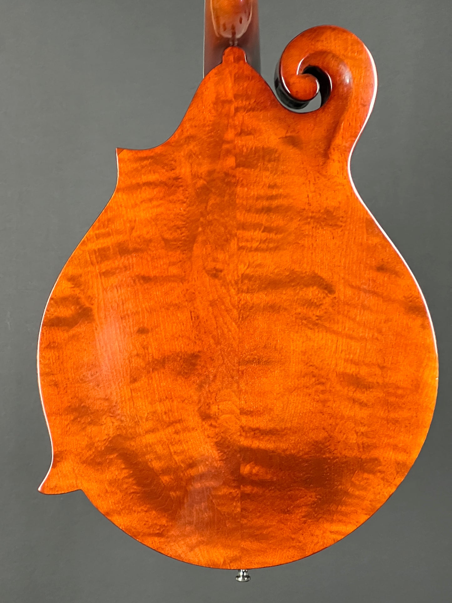 Michael Kelly Mandolin - Used