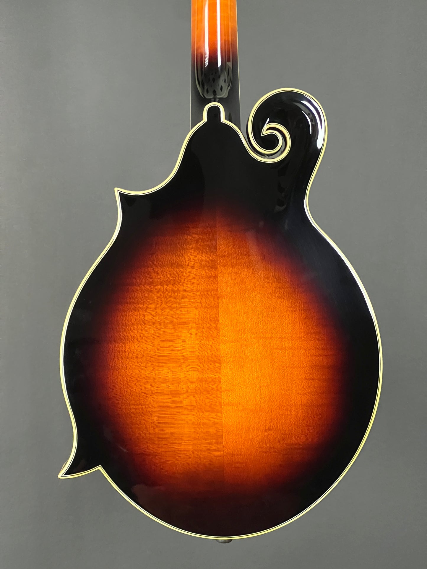 The Loar Professional Mandolin F-Style LM-600VS - New