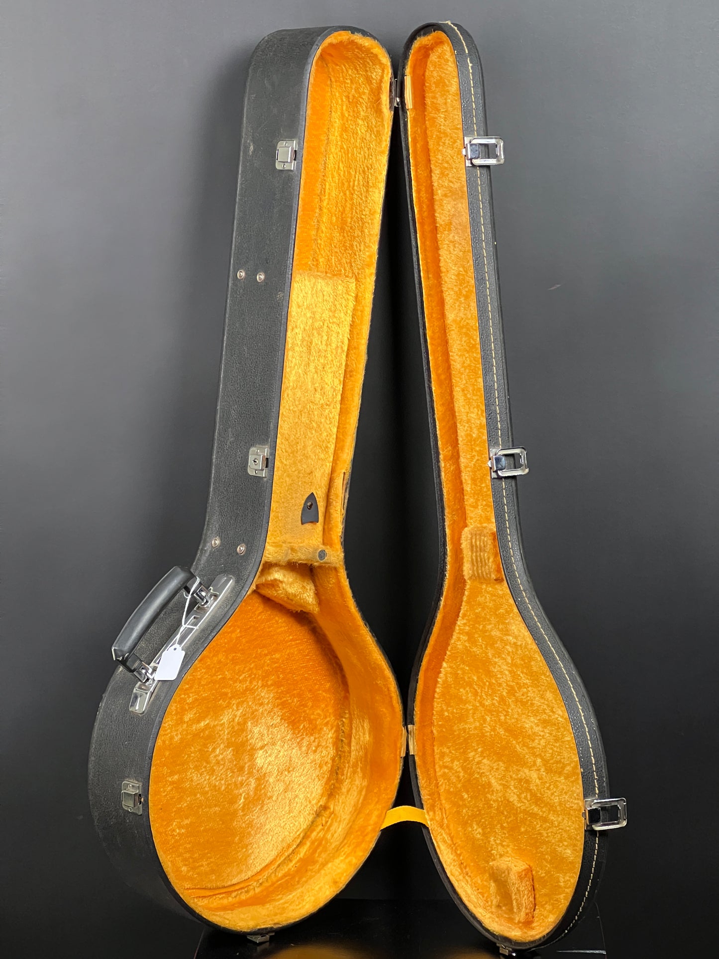 SOLD - Washburn 5-String Banjo with Resonator - Used