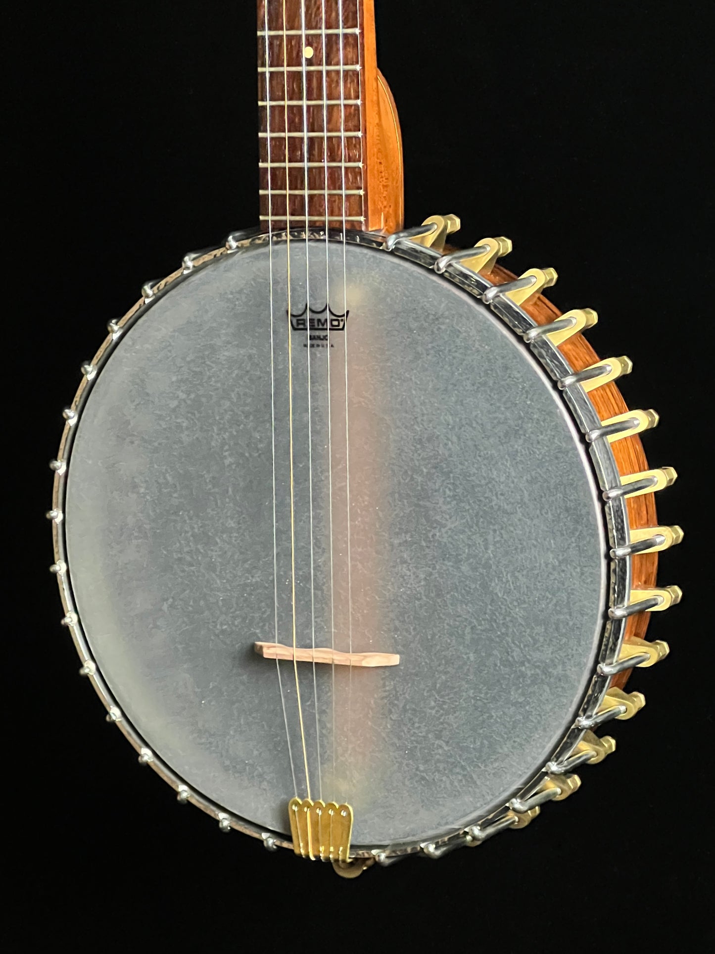Openback 5-String Banjo - Used