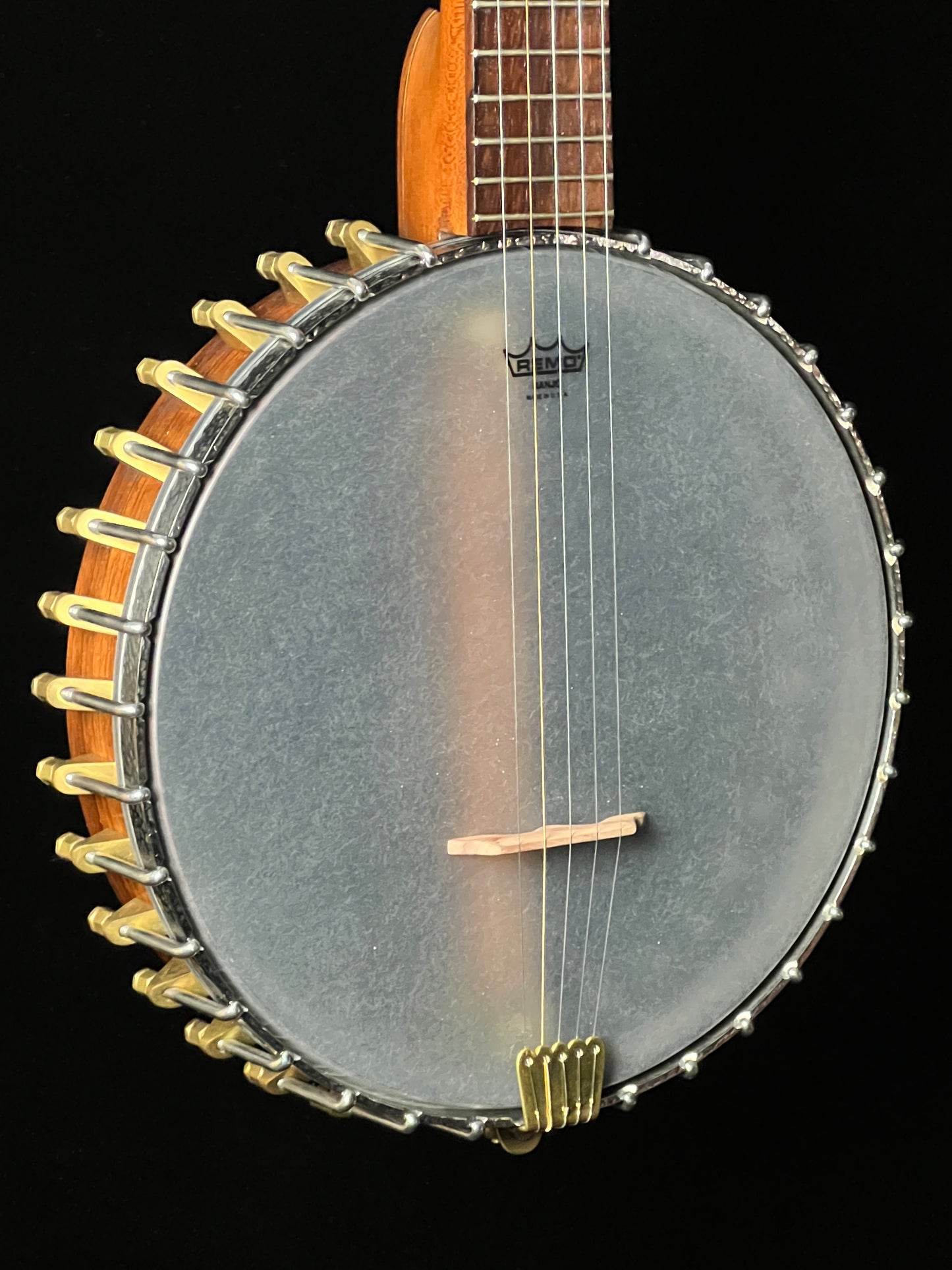 Openback 5-String Banjo - Used
