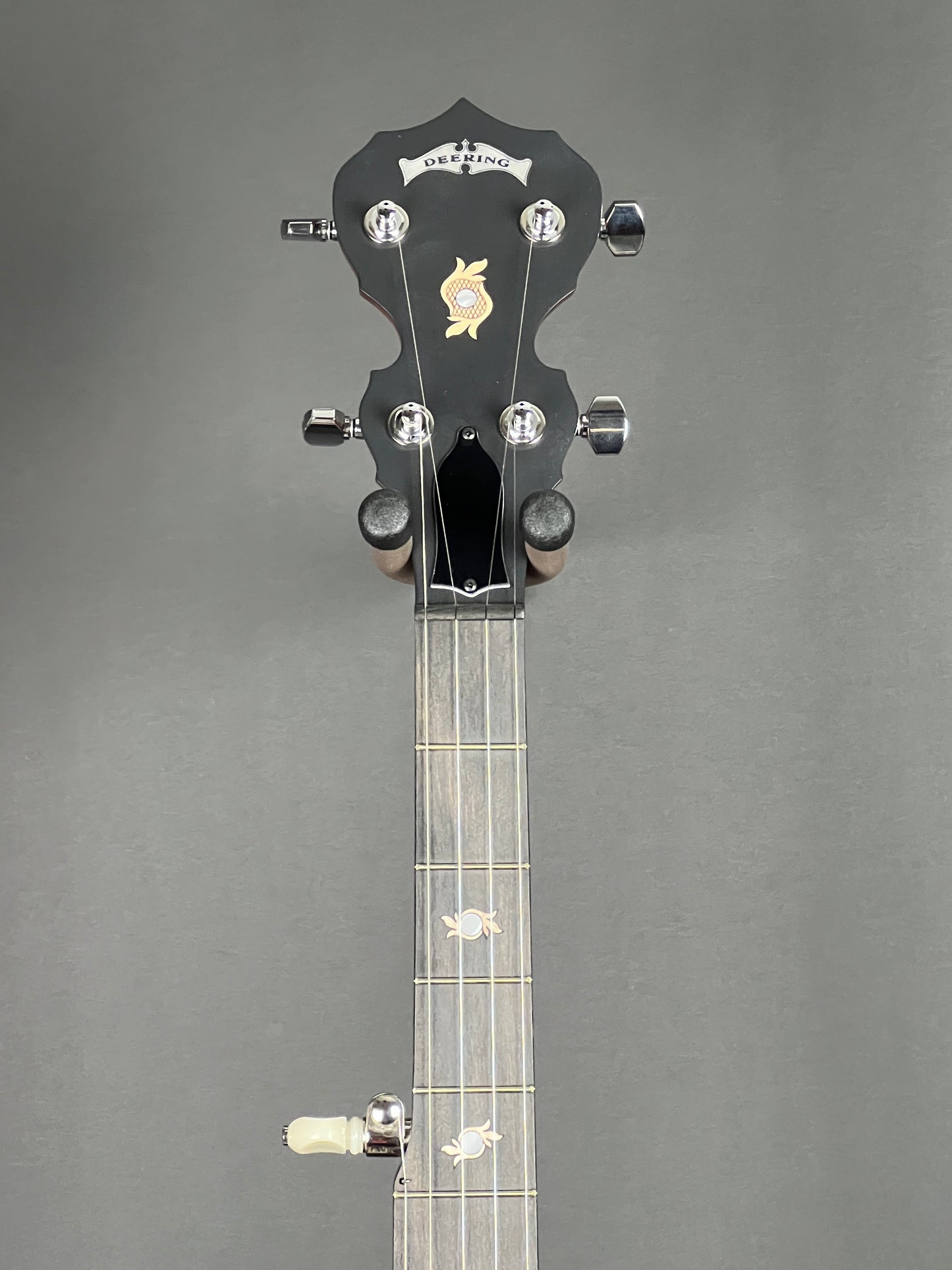 Deering Boston 5-String Banjo with Resonator - New