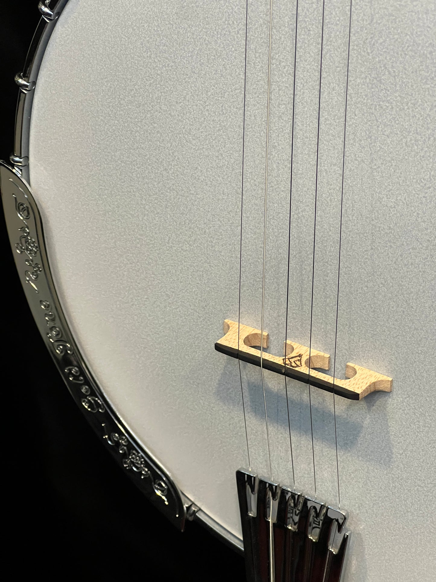 Gold Tone OB-250 Orange Blossom 5-String Banjo - New