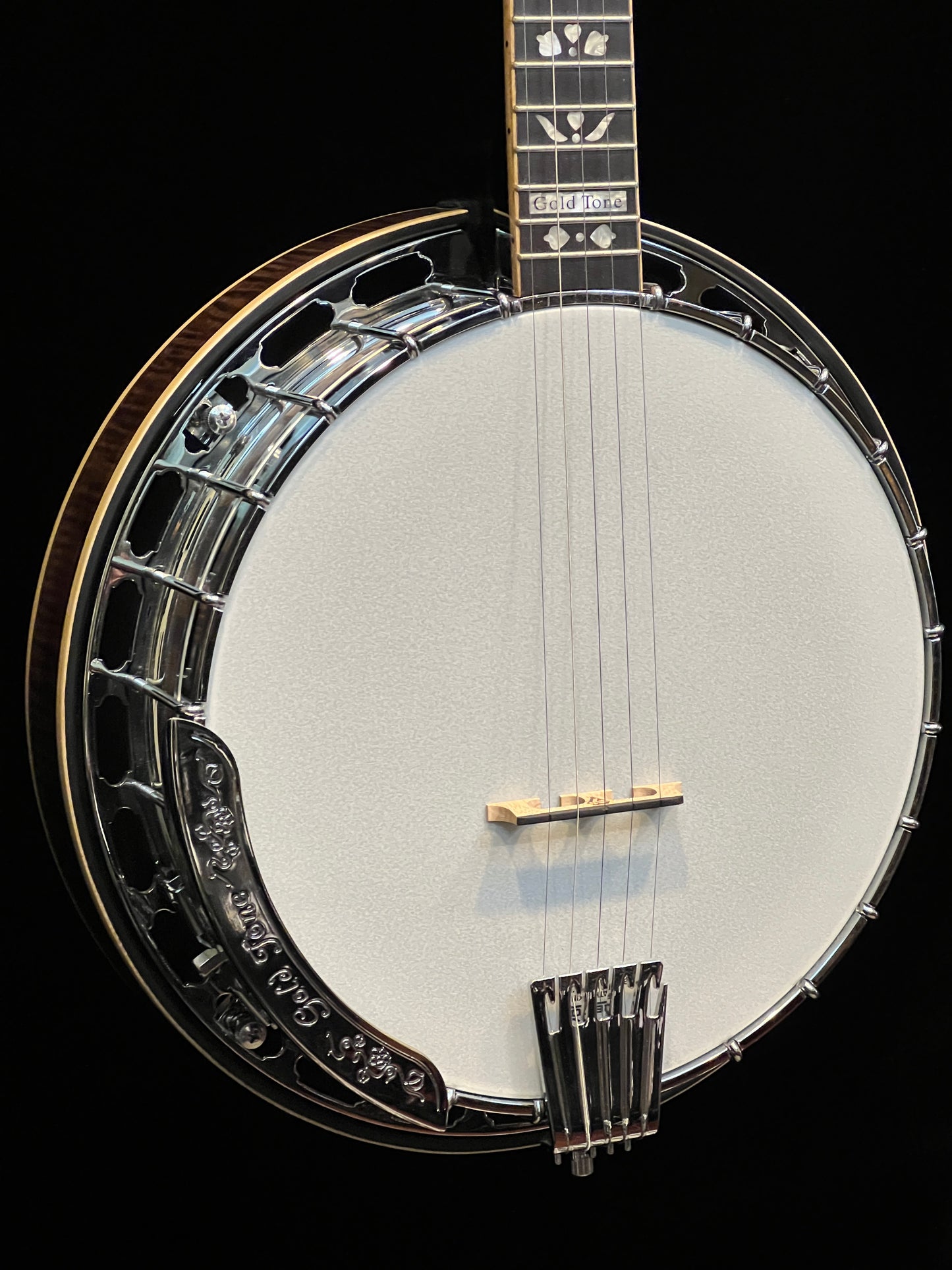 Gold Tone OB-250 Orange Blossom 5-String Banjo - New