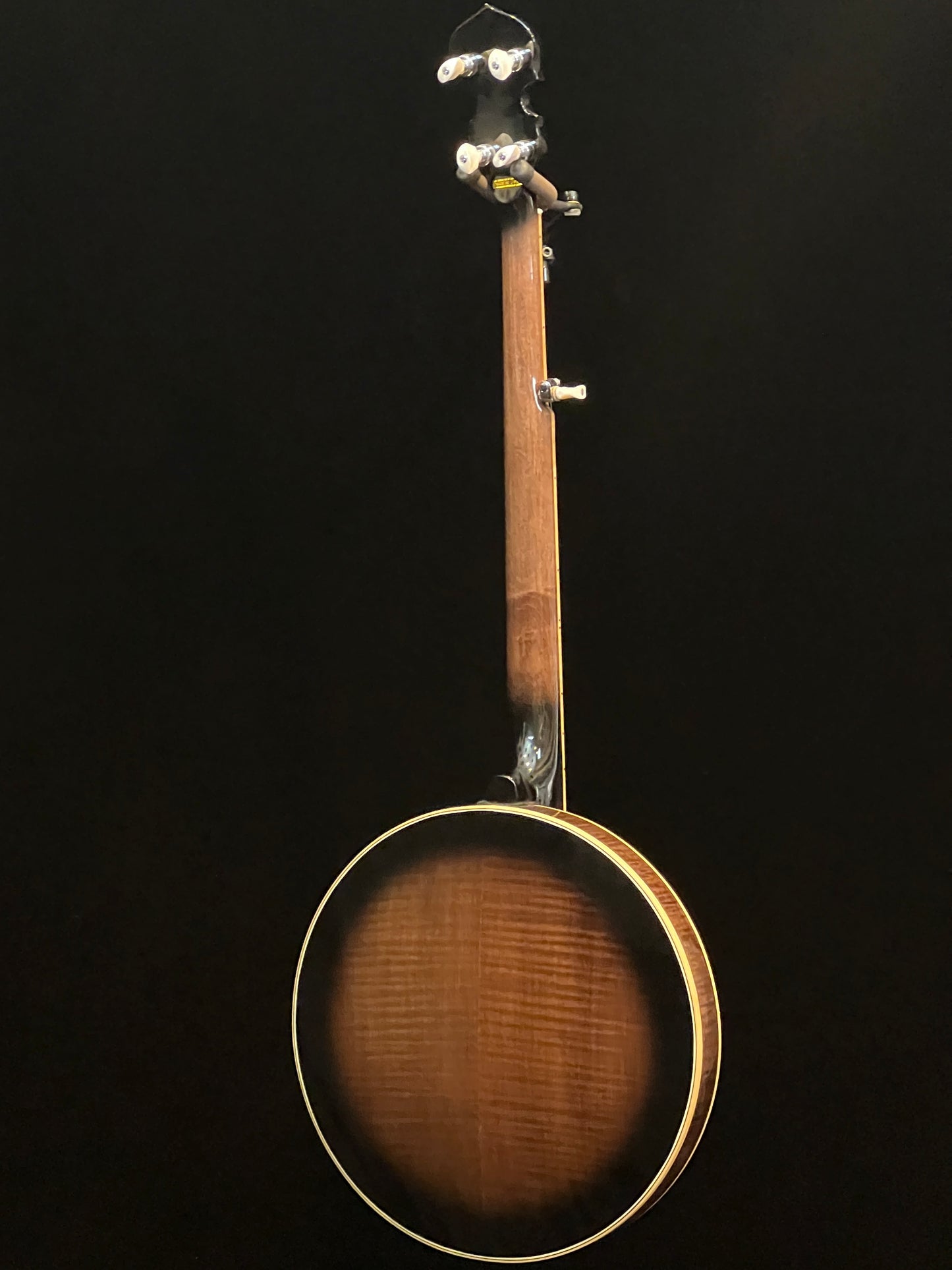 Gold Tone OB-250 Orange Blossom 5-String Banjo - New